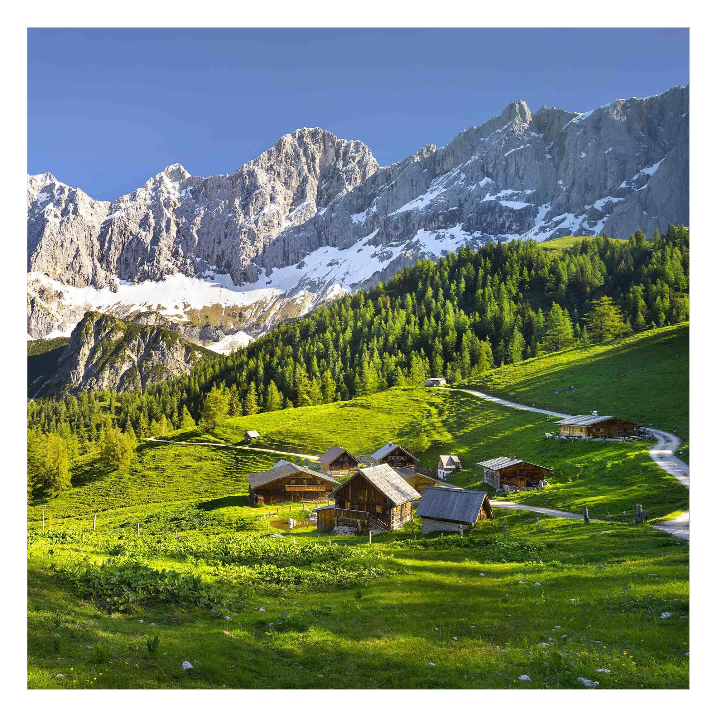Bilderdepot24 Fototapete Berge Steiermark Almwiese Natur günstig online kaufen