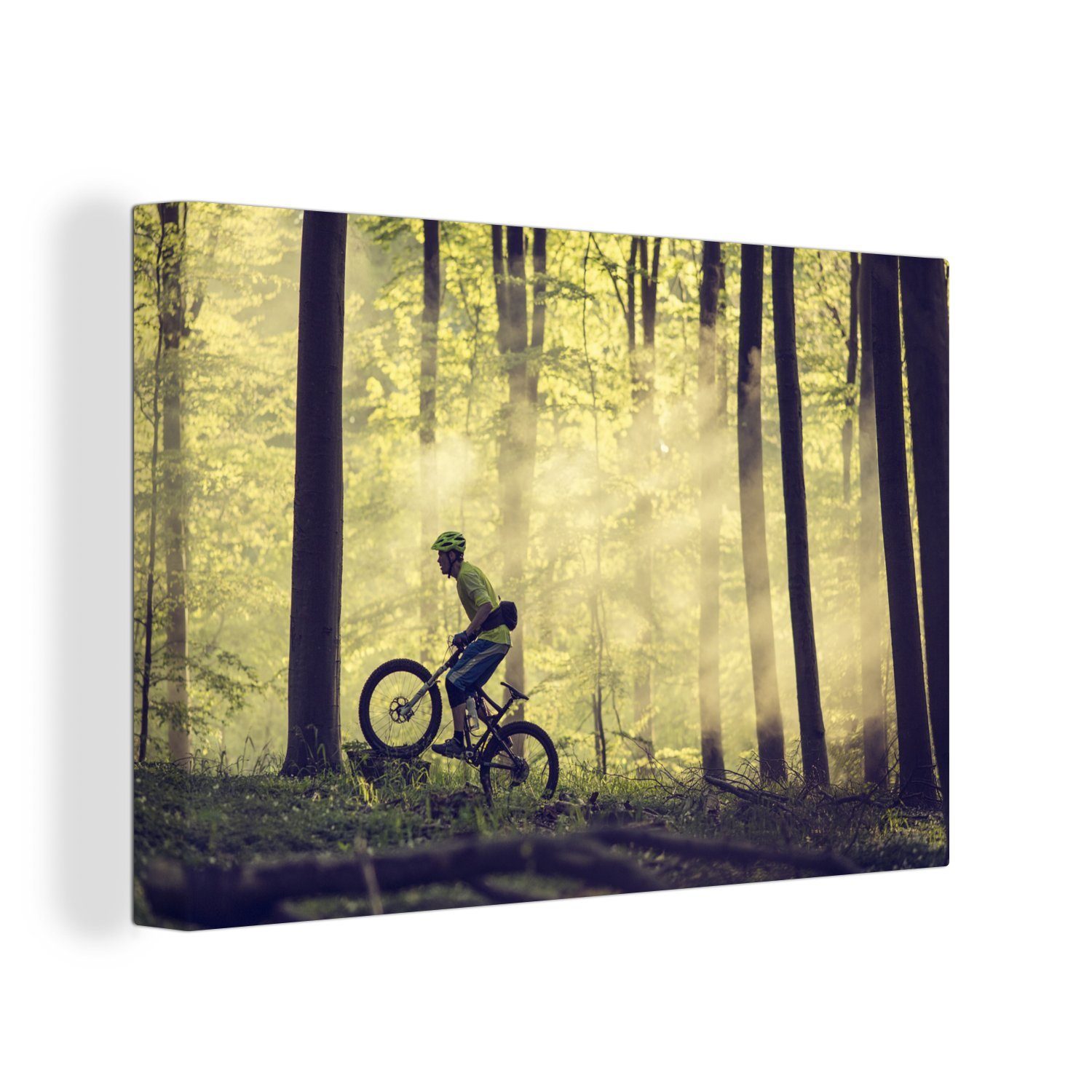 OneMillionCanvasses® Leinwandbild Mit dem Mountainbike durch die Wälder Dänemarks, (1 St), Wandbild Leinwandbilder, Aufhängefertig, Wanddeko, 30x20 cm