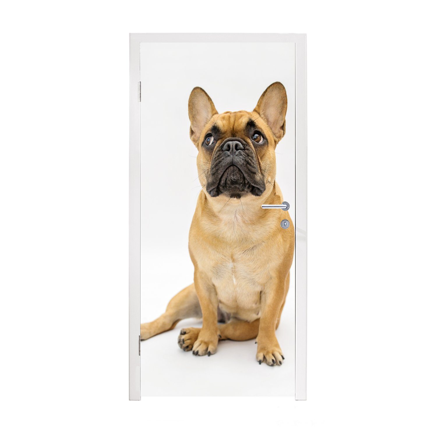 MuchoWow Türtapete Französische Bulldogge Fototapete 75x205 (1 cm - - Braun, St), Matt, Türaufkleber, Weiß Tür, bedruckt, für