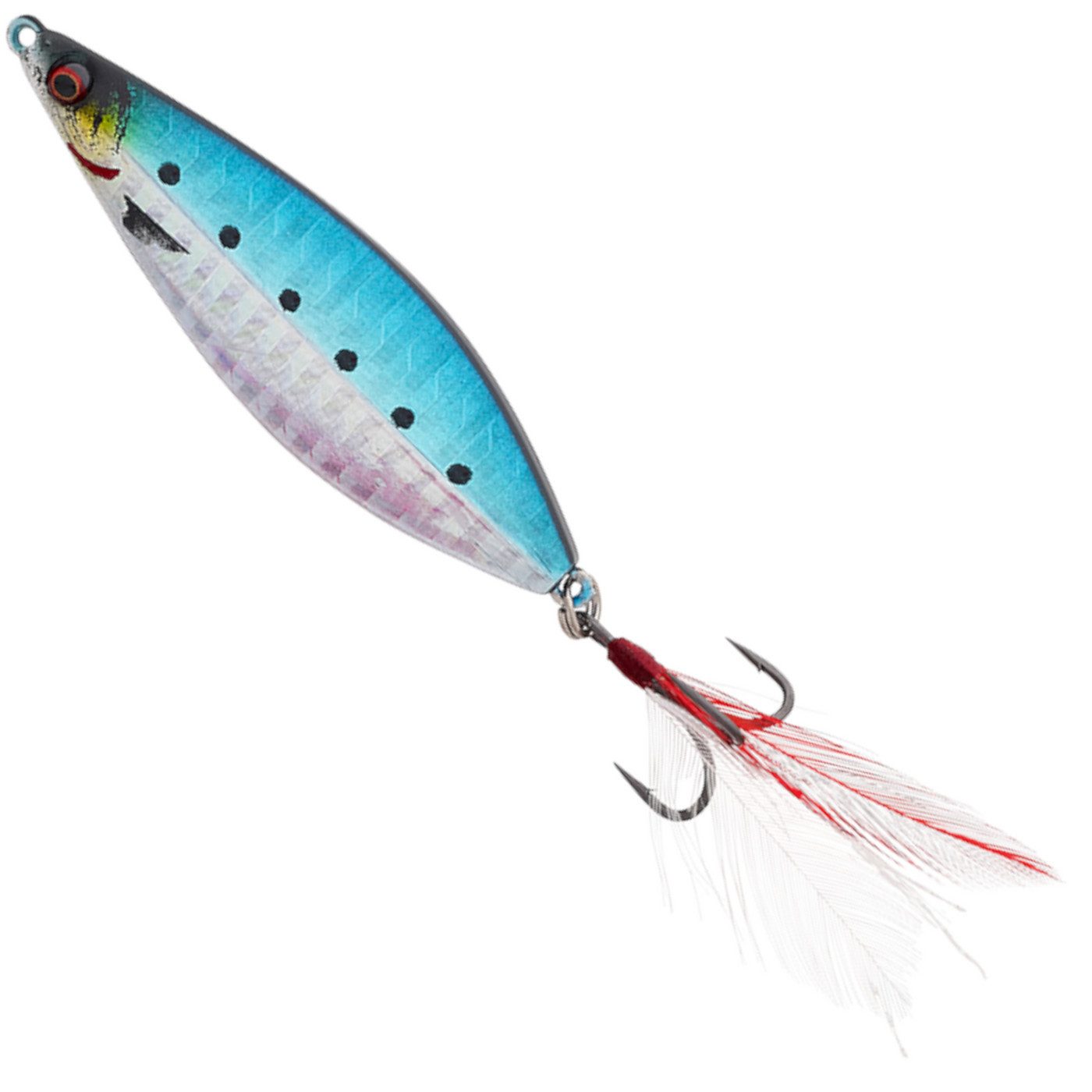 Sardine