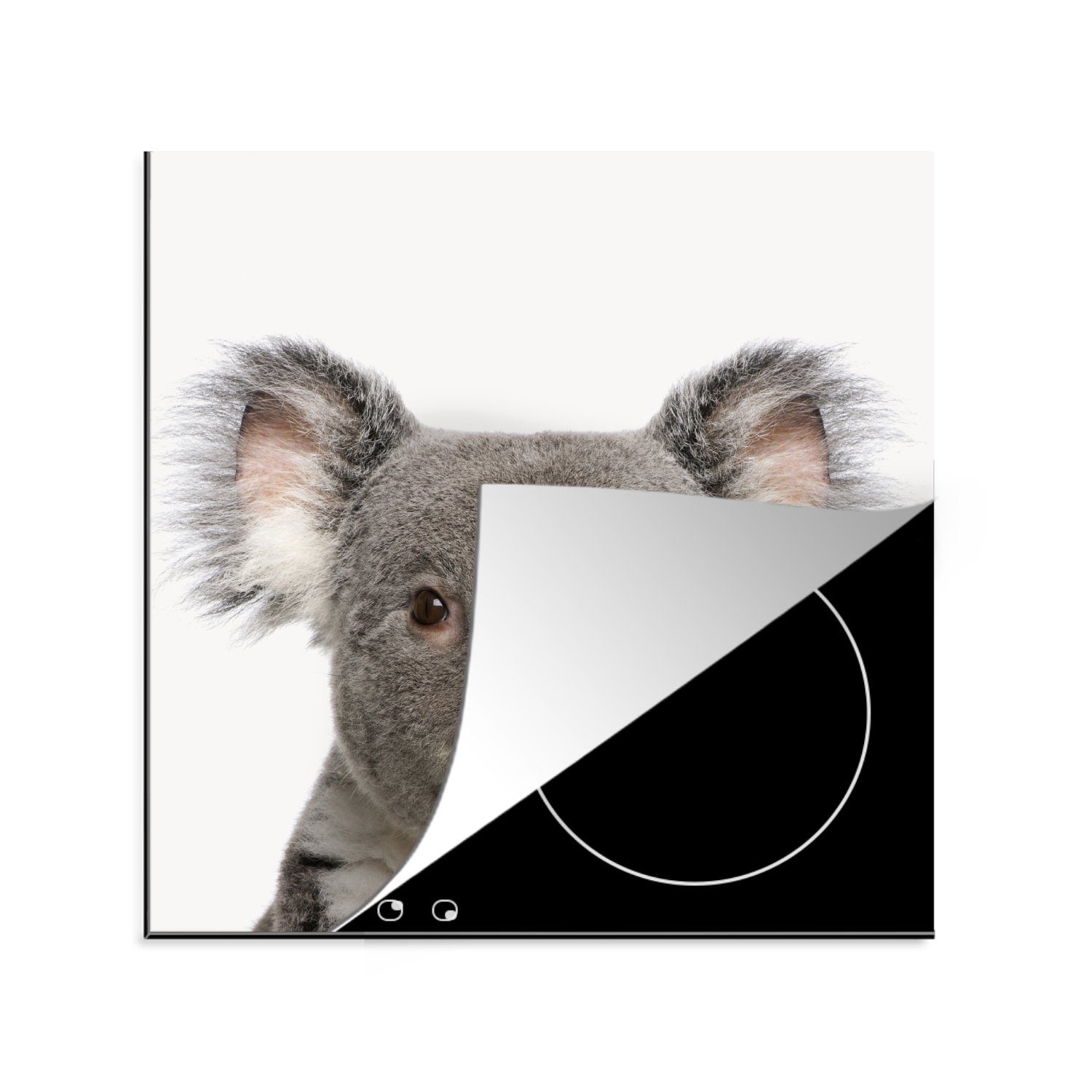 MuchoWow Herdblende-/Abdeckplatte Tiere - Koala - Weiß, Vinyl, (1 tlg), 78x78 cm, Ceranfeldabdeckung, Arbeitsplatte für küche