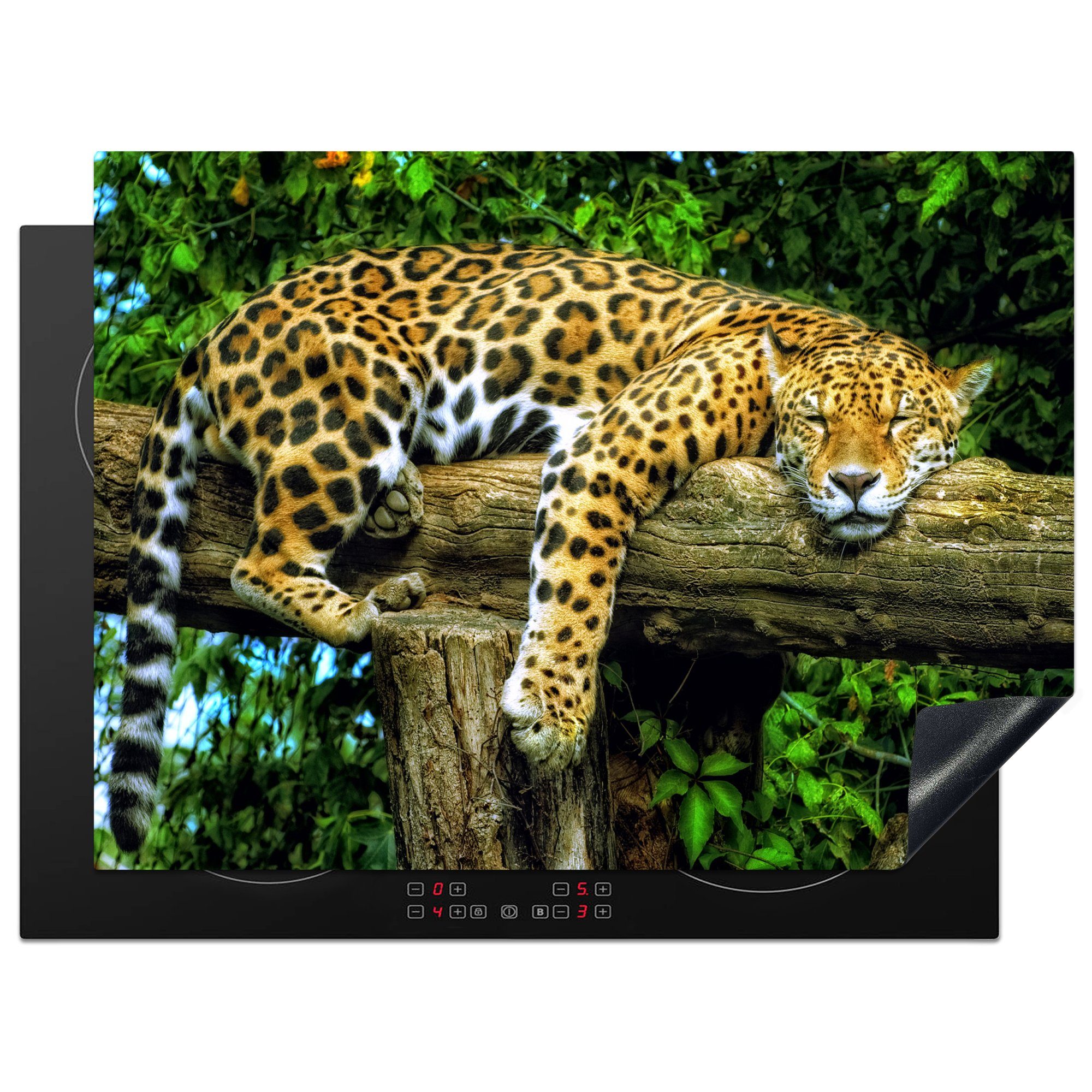 MuchoWow Herdblende-/Abdeckplatte Jaguar - Baum - Regenwald, Vinyl, (1 tlg), 71x52 cm, Induktionskochfeld Schutz für die küche, Ceranfeldabdeckung