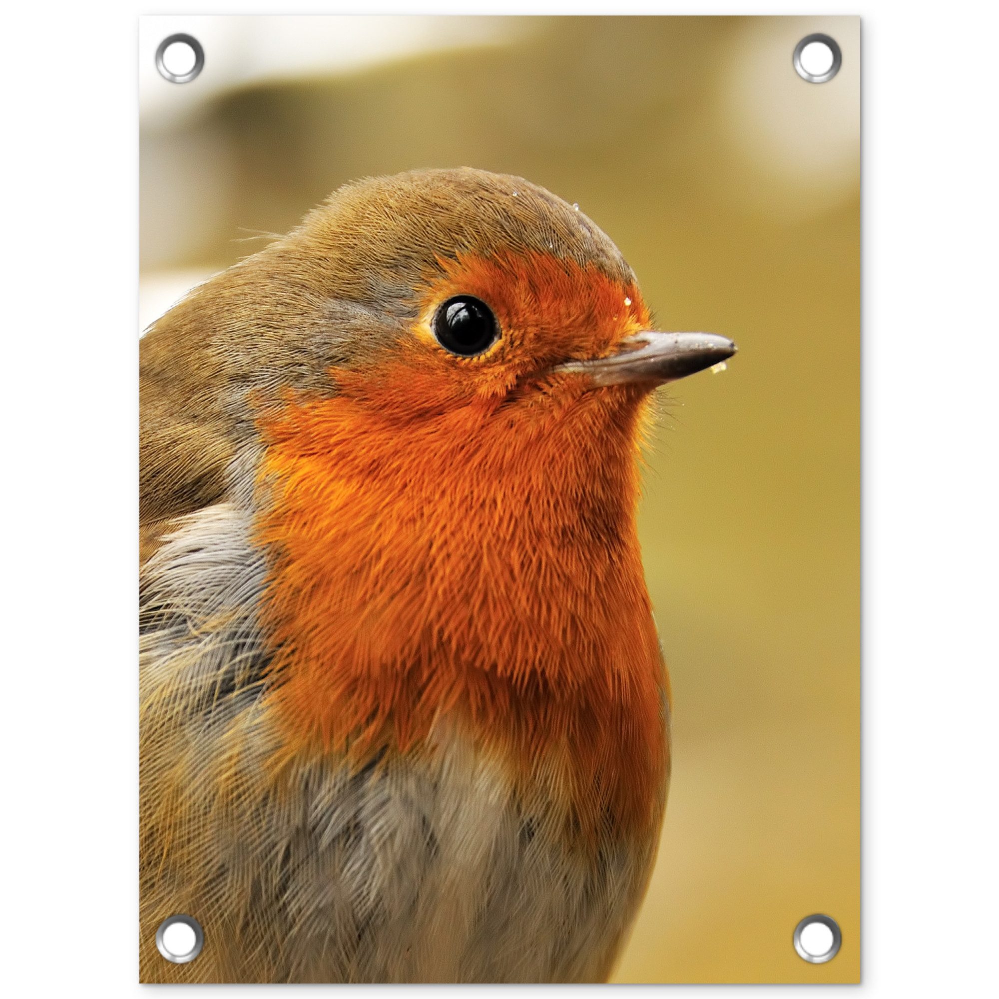 OnlyWow Poster für Garten Vogel - Rotkehlchen - Porträt, Gartenposter, Outdoor Bilder, Gartendeko für draußen, 30x40 cm