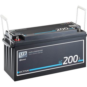 ECTIVE ECTIVE 12V 200Ah LiFePo4 Solar Batterie Lithium BMS Wohnmobil Camper Batterie, (12 V)