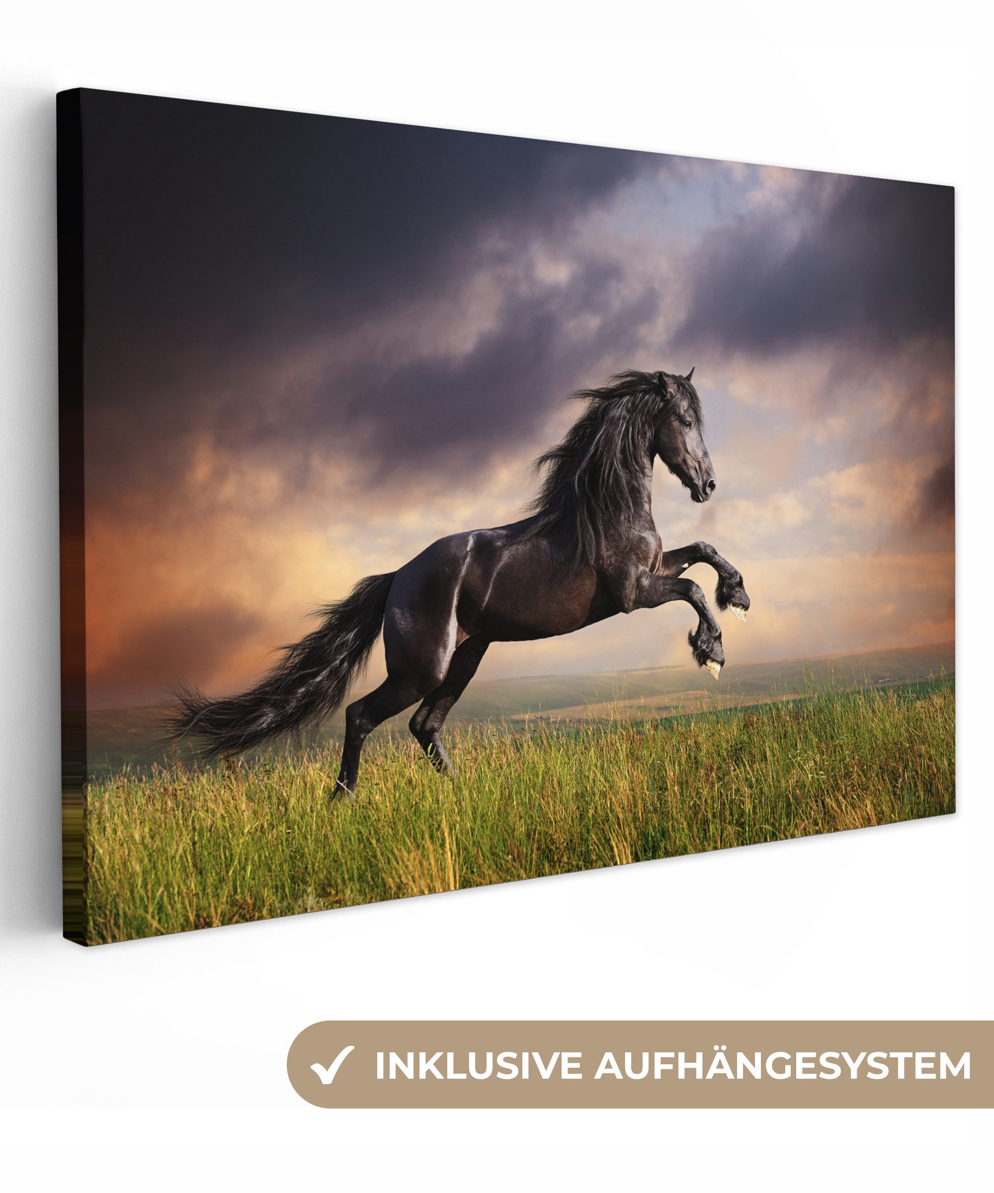 OneMillionCanvasses® Leinwandbild Pferd - Luft - günstig online kaufen