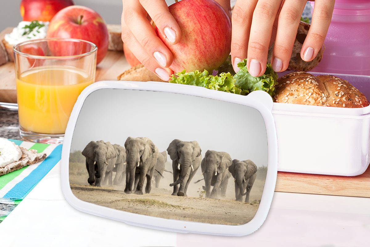 MuchoWow Lunchbox weiß Jungs - Elefant (2-tlg), für Stoff, für - Afrikanisch Mädchen Brotdose, Kunststoff, Erwachsene, Kinder Brotbox und und