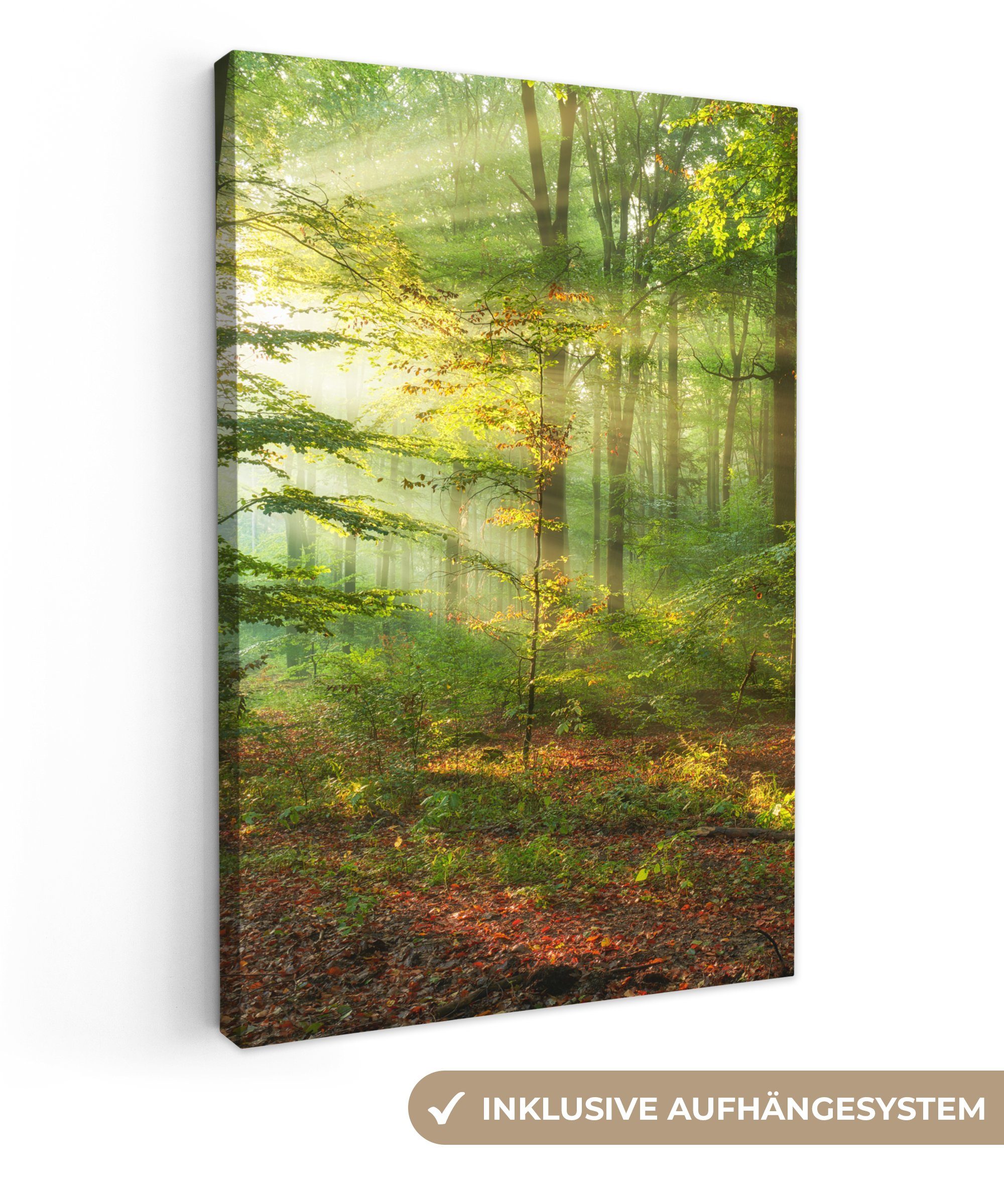 OneMillionCanvasses® Leinwandbild Sonne - Wald - Bäume - Natur - Herbst, Fo günstig online kaufen