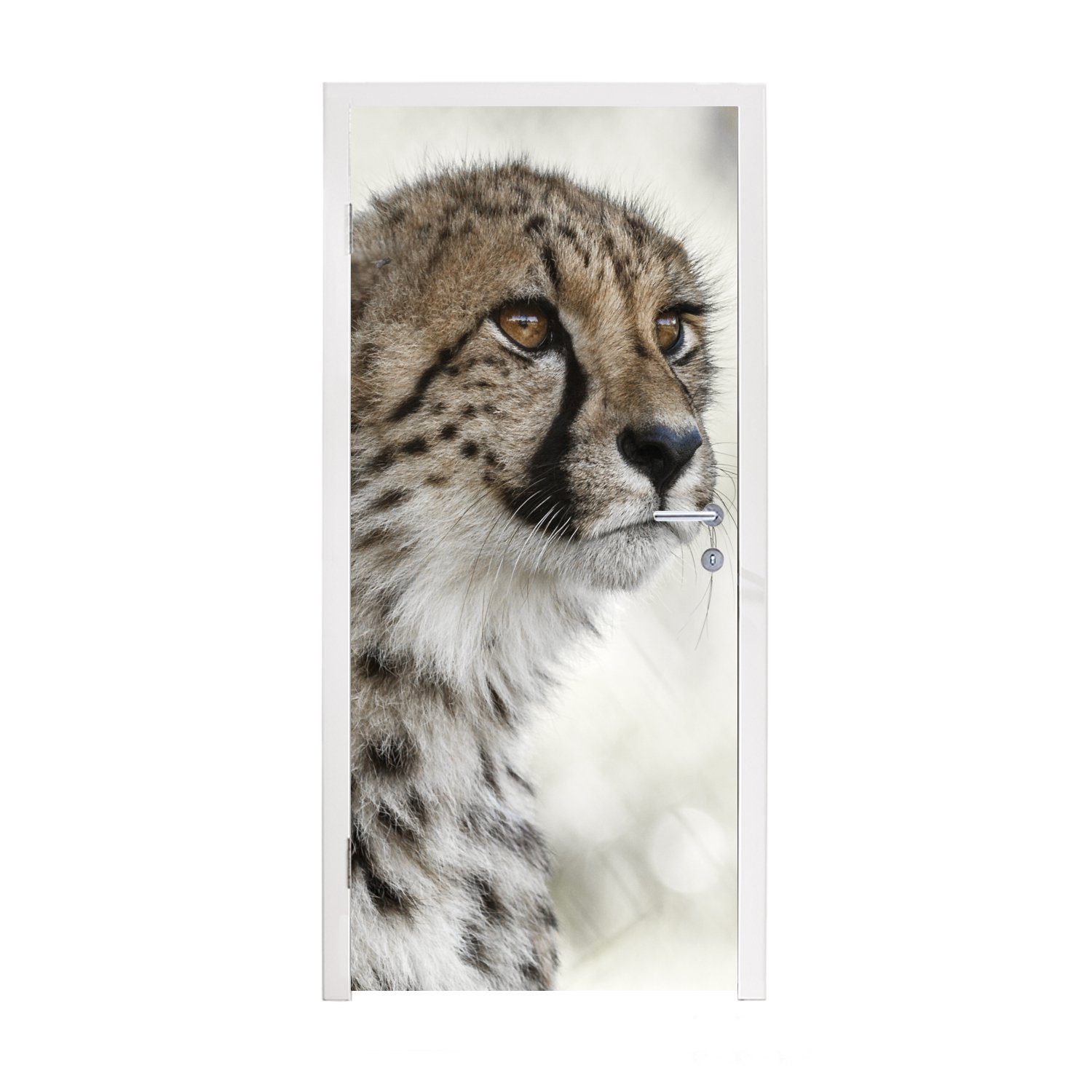 MuchoWow Türtapete Junger Gepard im Schnee, Matt, bedruckt, (1 St), Fototapete für Tür, Türaufkleber, 75x205 cm