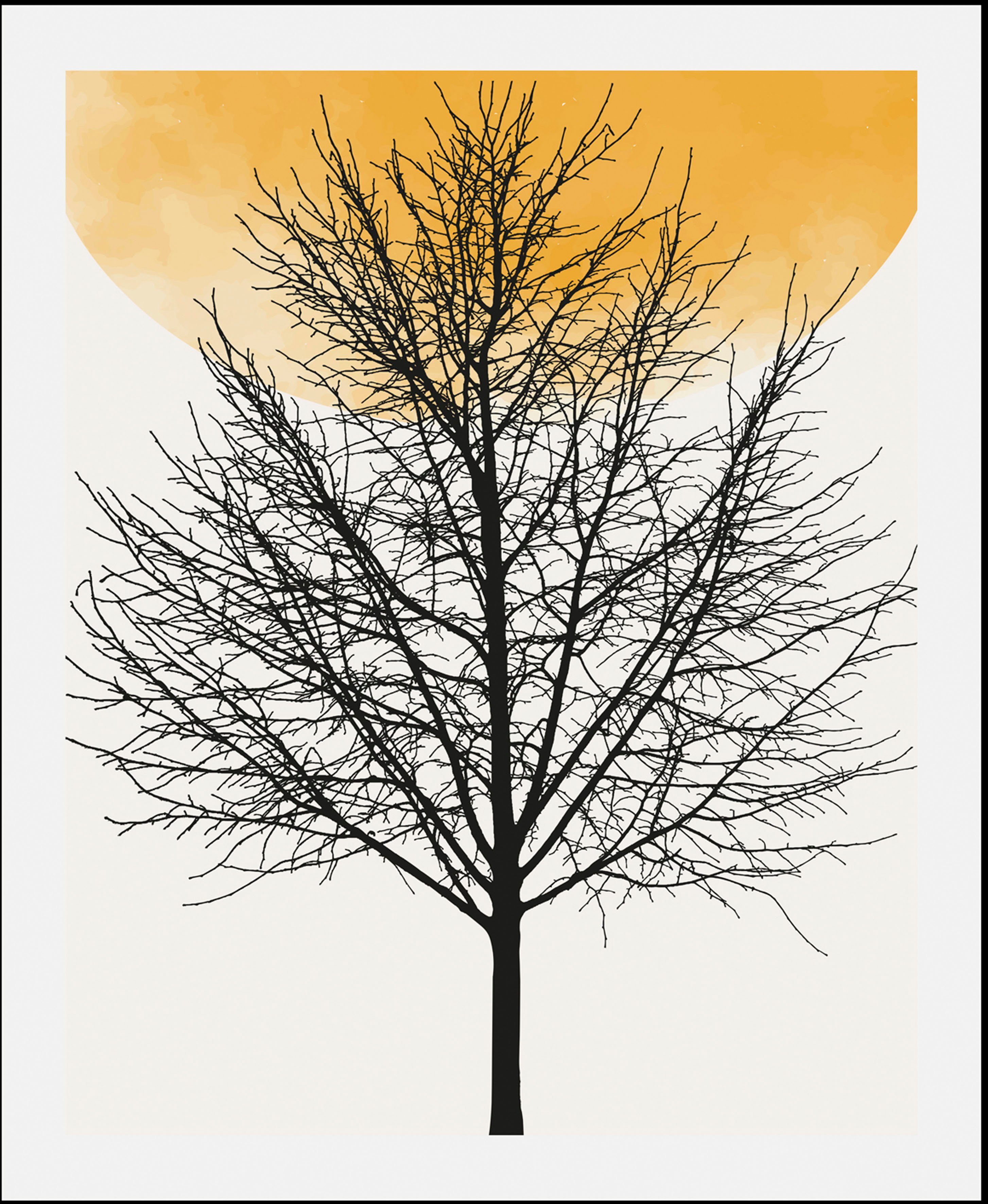 queence Bild Bloom, Baum, Baumbilder, Pflanzen, Pflanzenbilder, Sonnenaufgang (1 St), gerahmt