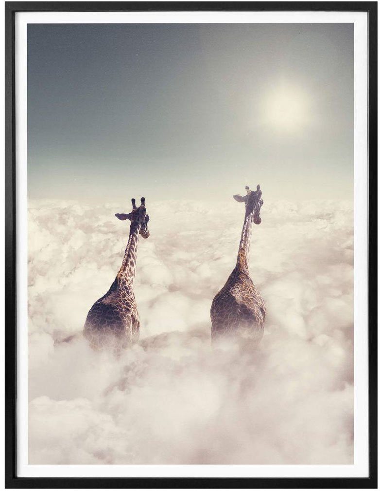Giraffen Safari Poster, den in Wandposter Tiere Bild, Wolken, St), Wandbild, (1 Wall-Art Poster