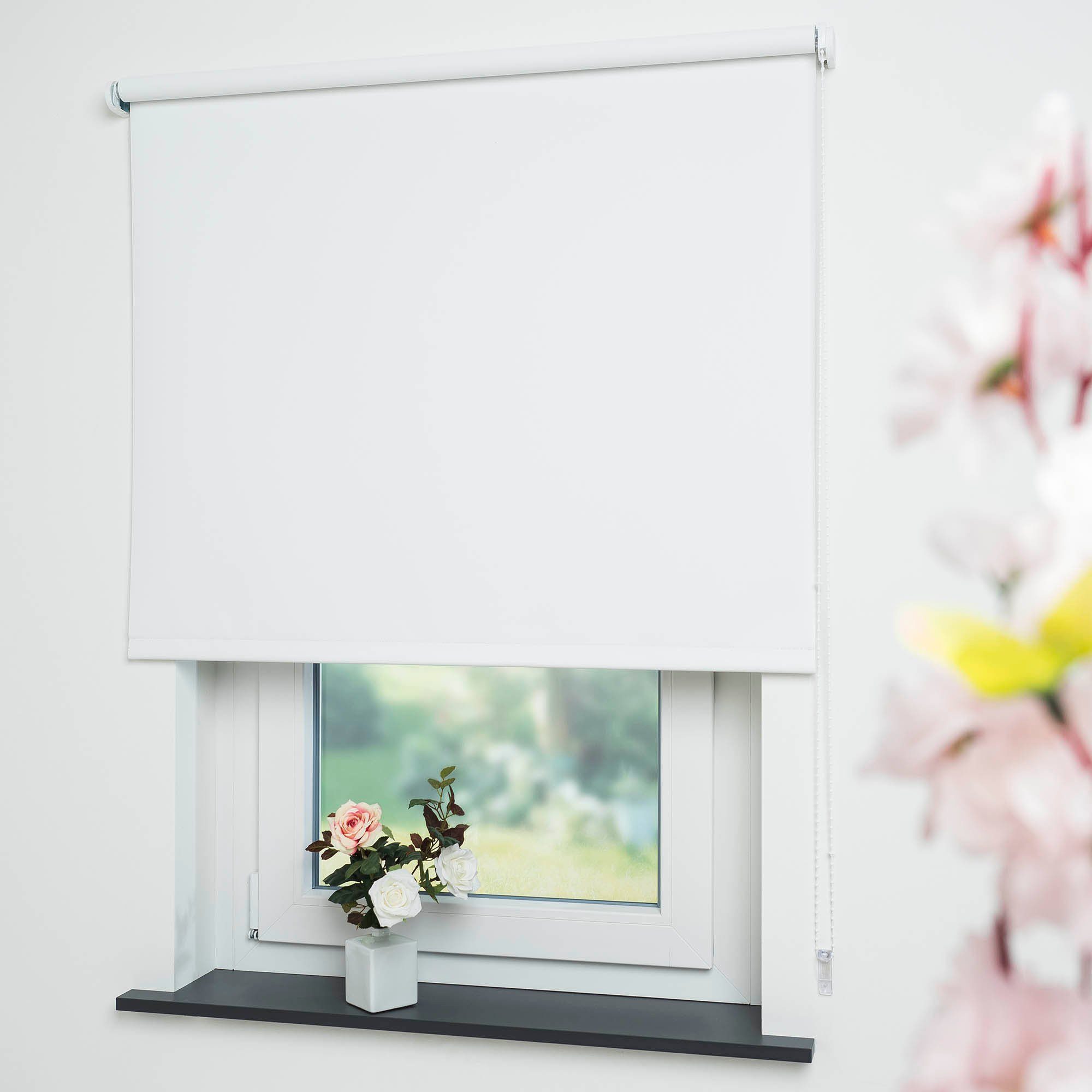 Seitenzugrollo Uni, Liedeco, verdunkelnd, mit Bohren, verschraubt günstig online kaufen