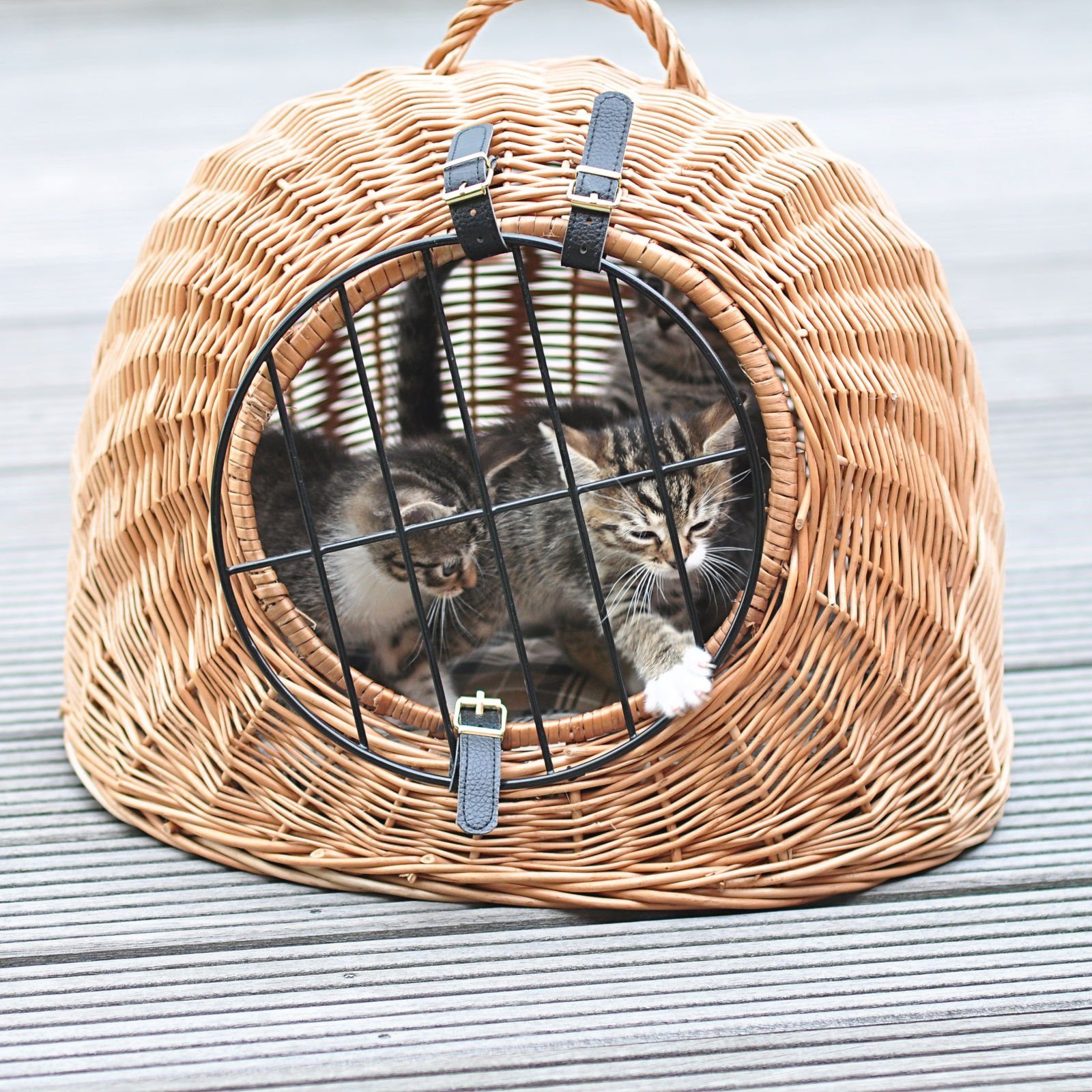 Aumüller Tierreisebox Katzenhöhle/Transportkorb aus Vollweide, lackiert, 60 cm