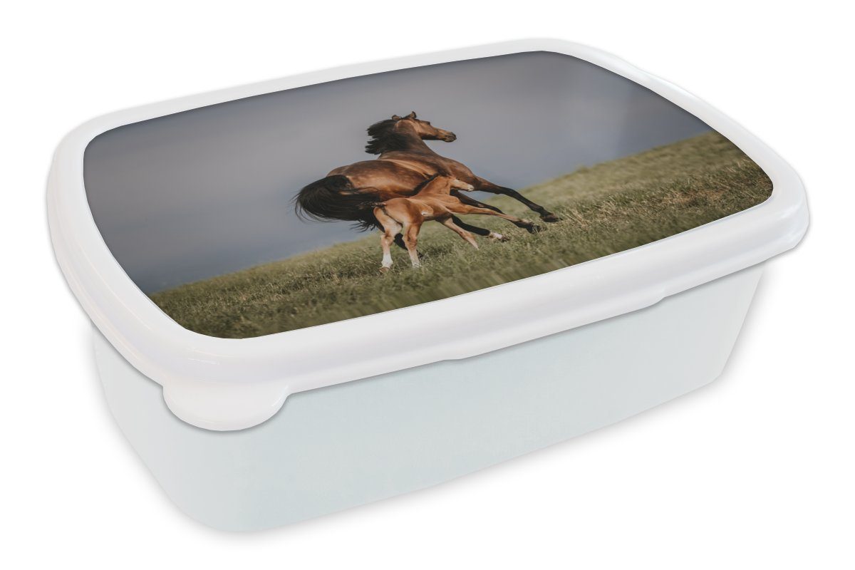 MuchoWow Lunchbox Tiere - Pferde - Fohlen, Kunststoff, (2-tlg), Brotbox für Kinder und Erwachsene, Brotdose, für Jungs und Mädchen weiß