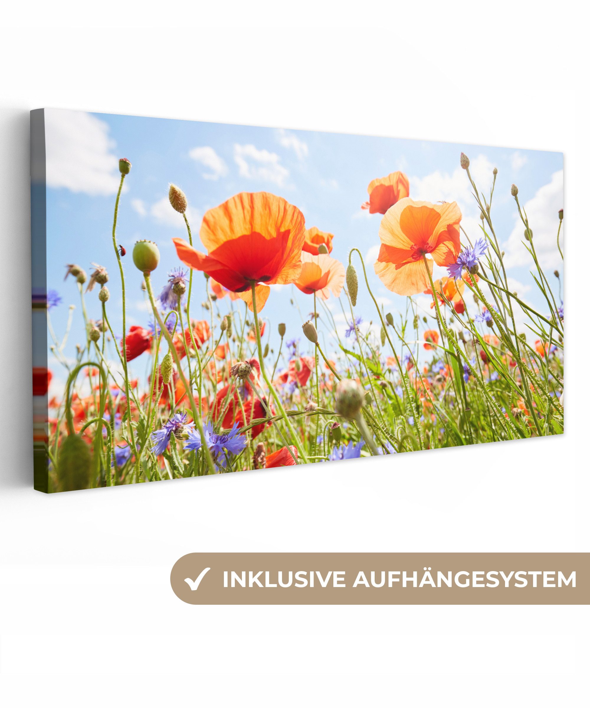 OneMillionCanvasses® Leinwandbild Panorama Blumen - Mohn - Frühling - Natur - Rot - Blau, Fotodruck (1 St), Deko für Wohnzimmer Schlafzimmer Küche 80x40 cm