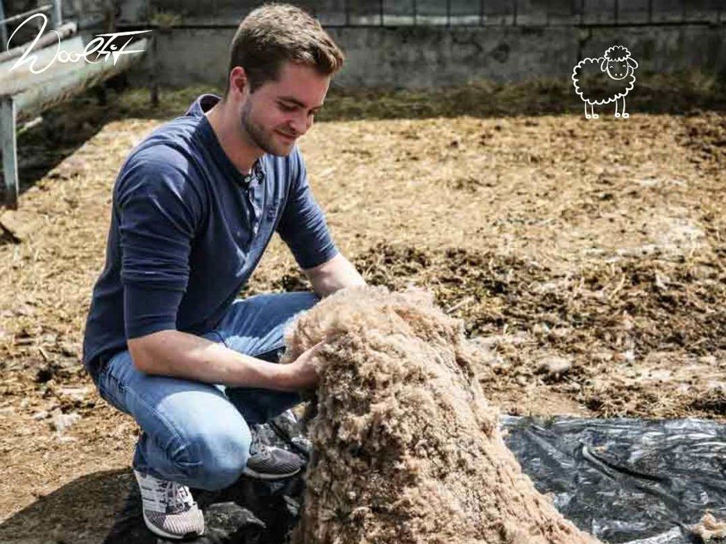 WoolFit Einlegesohlen Damen Herren dünne Filz-Einlegesohlen 3mm, hellgrau, filz, schafwolle, Filz – Bild 5 von 5