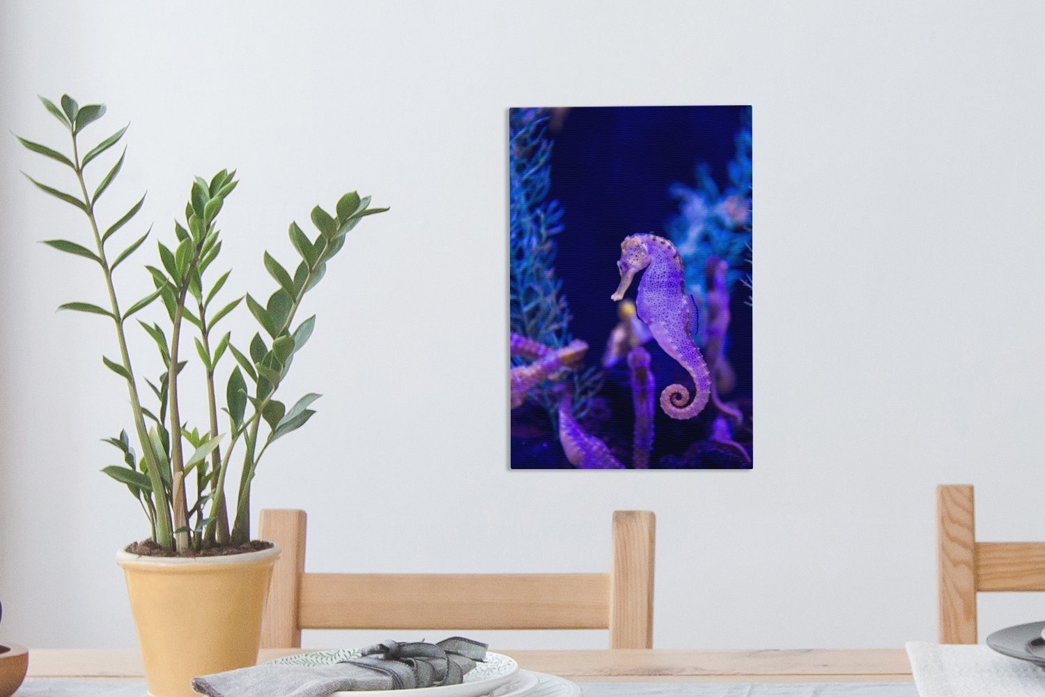St), Gemälde, Leinwandbild cm Zackenaufhänger, 20x30 (1 bespannt fertig OneMillionCanvasses® Seepferdchen inkl. Leinwandbild mit Artgenossen.,