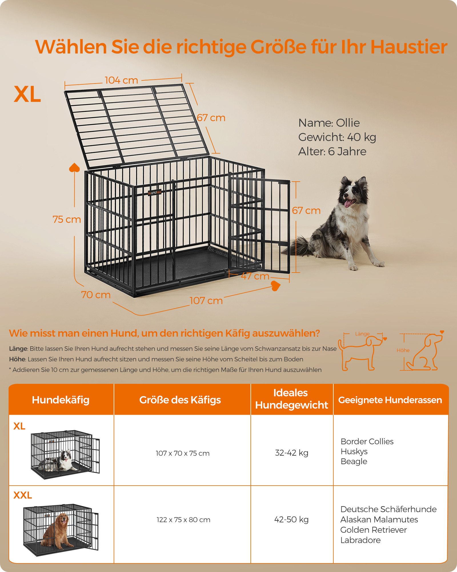 FEANDREA Tiertransportbox hochbelastbar, Hundebox, mit herausnehmbarer Bodenschale, Haustierkäfig, 107 x 70 x 75 cm
