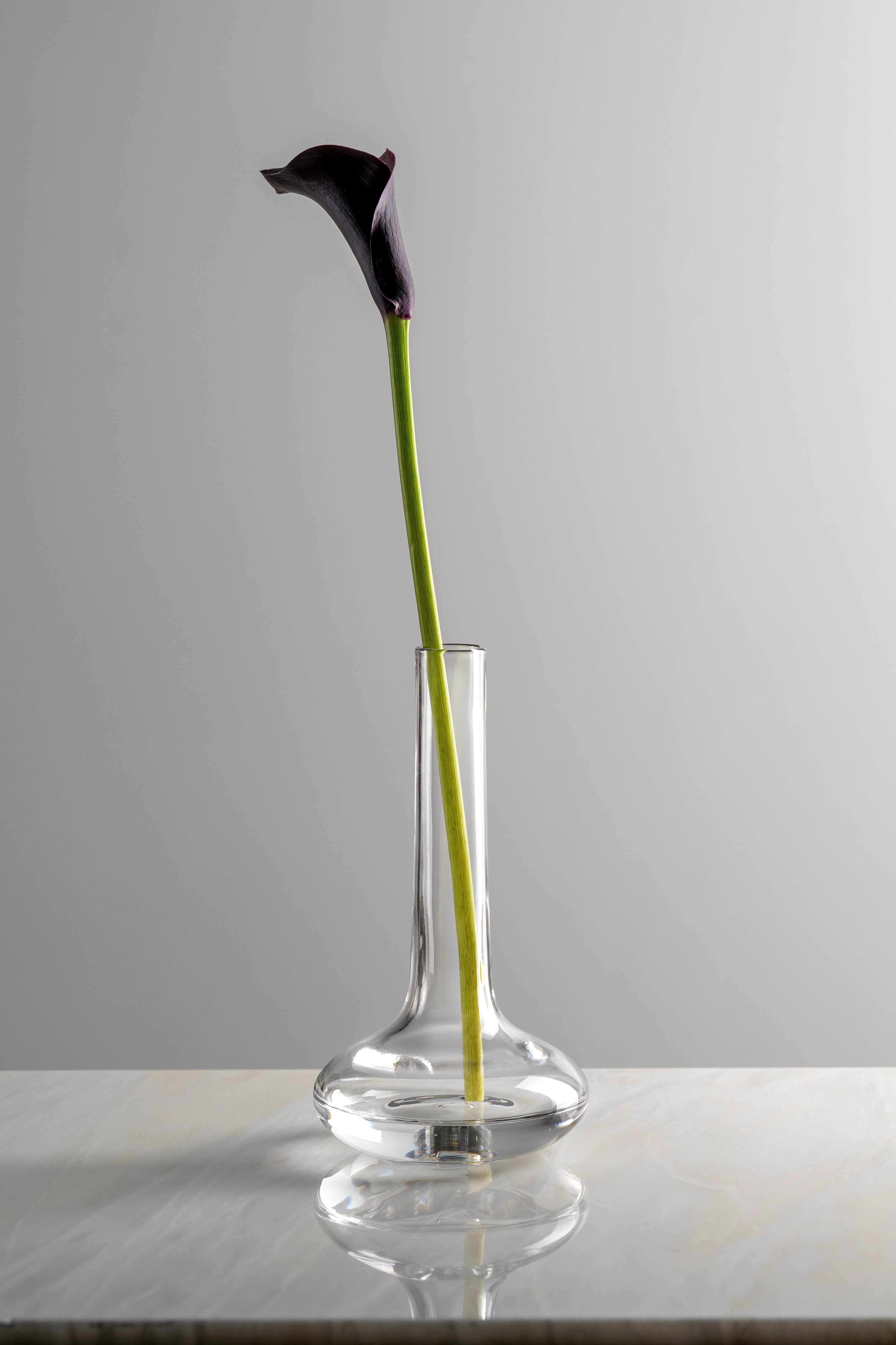 LEONARDO Dekovase GK/Solifleurvase ARIA (1 St) – Bild 2 von 5