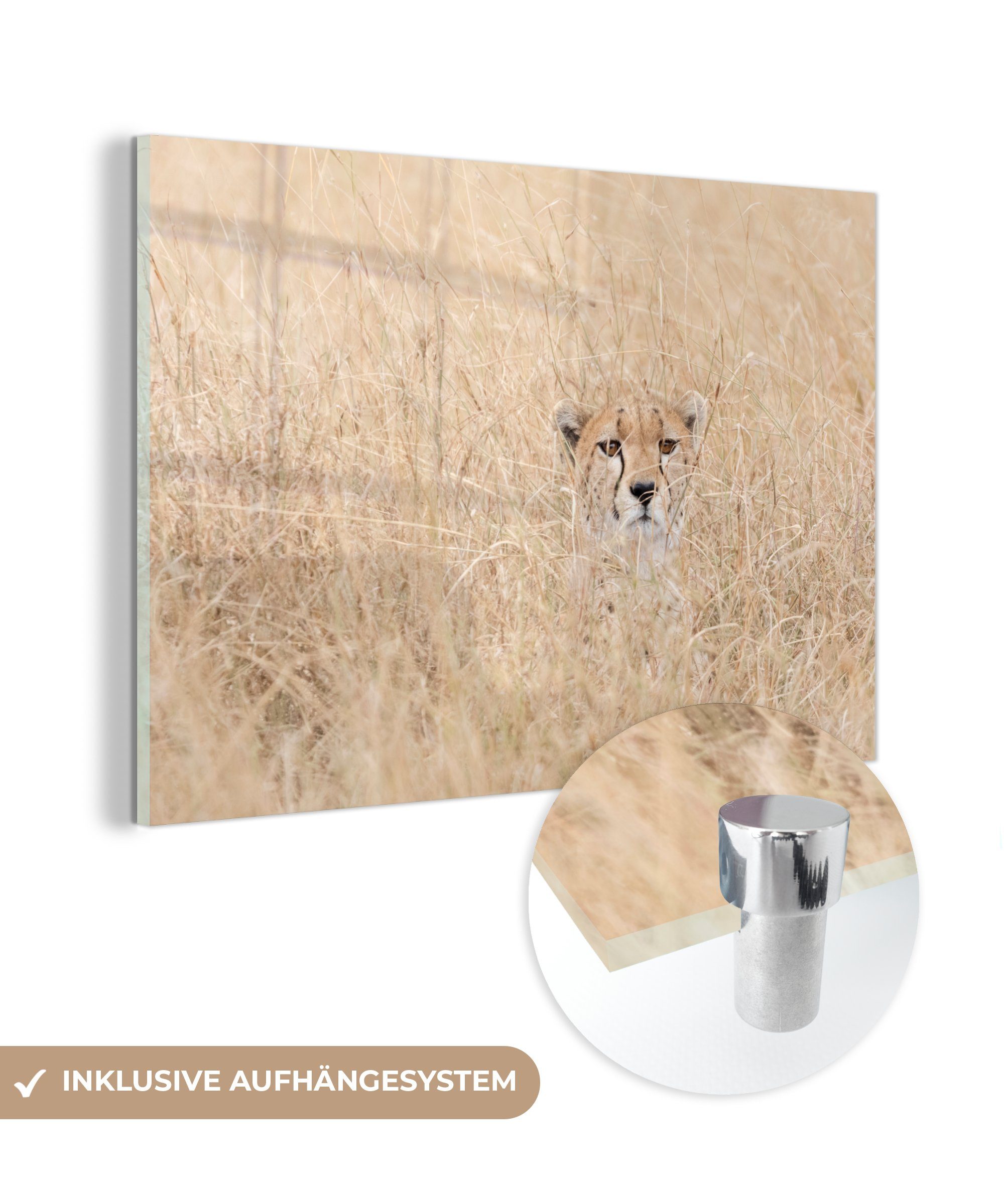 MuchoWow Acrylglasbild Leopard - Gras - Tarnung, (1 St), Acrylglasbilder Wohnzimmer & Schlafzimmer | Bilder