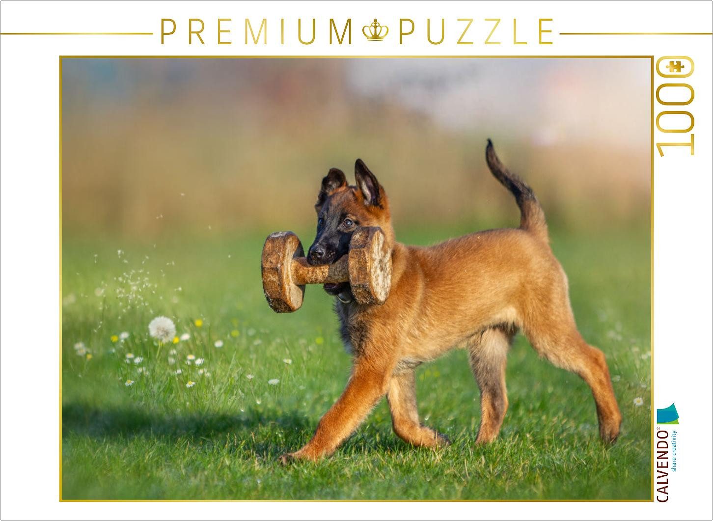 Puzzle CALVENDO Puzzle Ein Motiv aus dem Kalender Traumhund Malinois, 1000 T