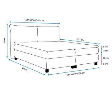 Furnix Boxspringbett Traviss 120x200 mit Bettkasten & Topper Auswahl Farbe/Größe, hochwertiger abriebfester Polsterstoff, Füße in Chromoptik