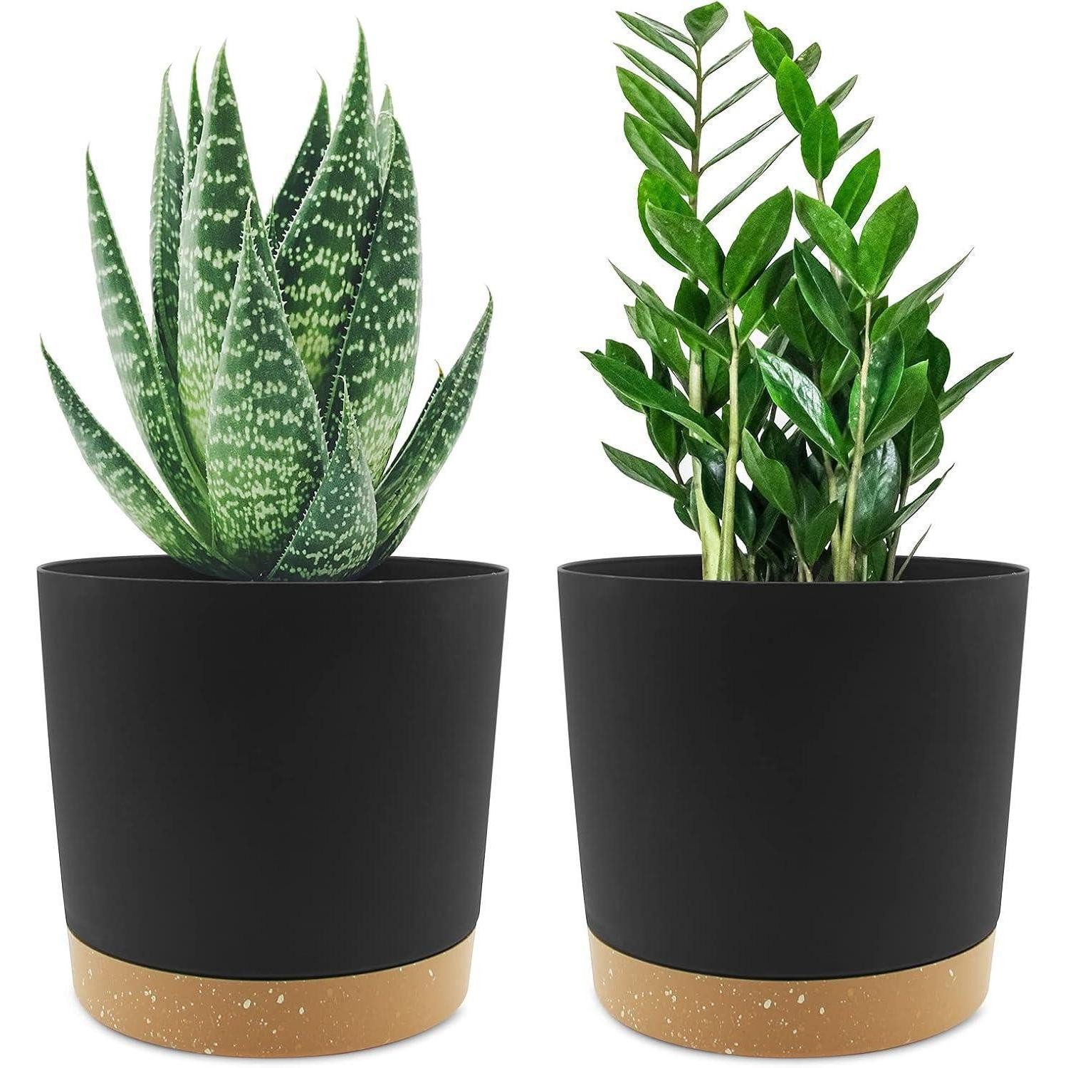 LuxusKollektion Blumentopf Bumentöpfe 2er 16,5cm Zimmerpflanzen Entwässerung Dunkelgrau 16.5cm