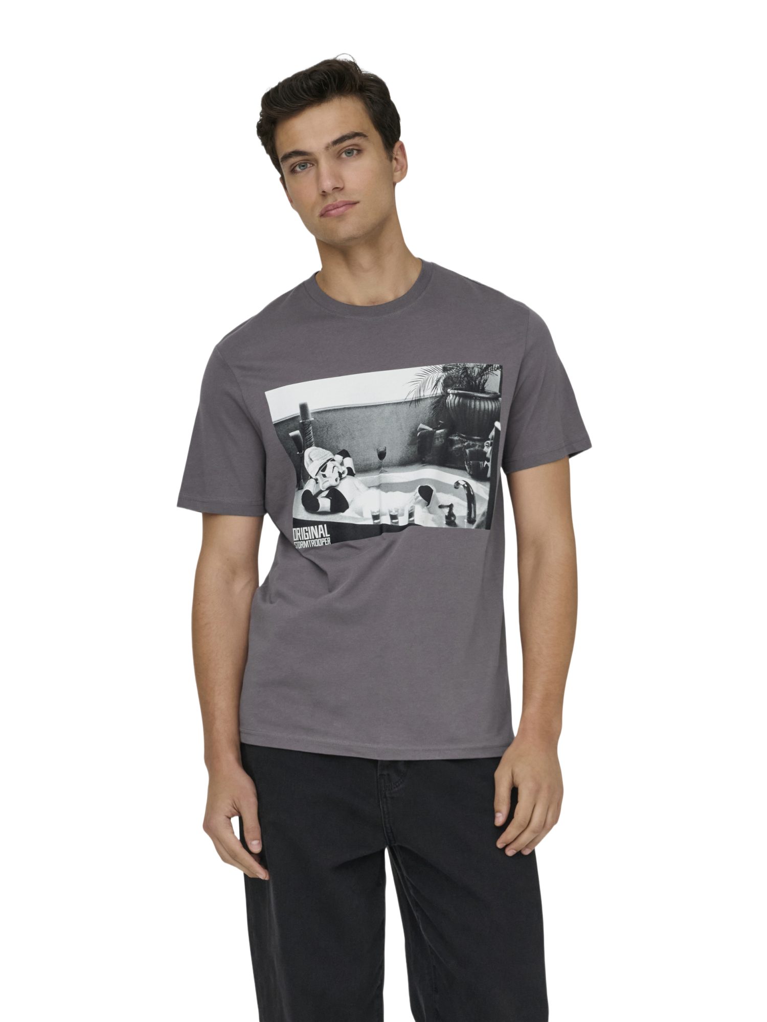 ONLY & SONS Kurzarmshirt 2027-3 SPRING