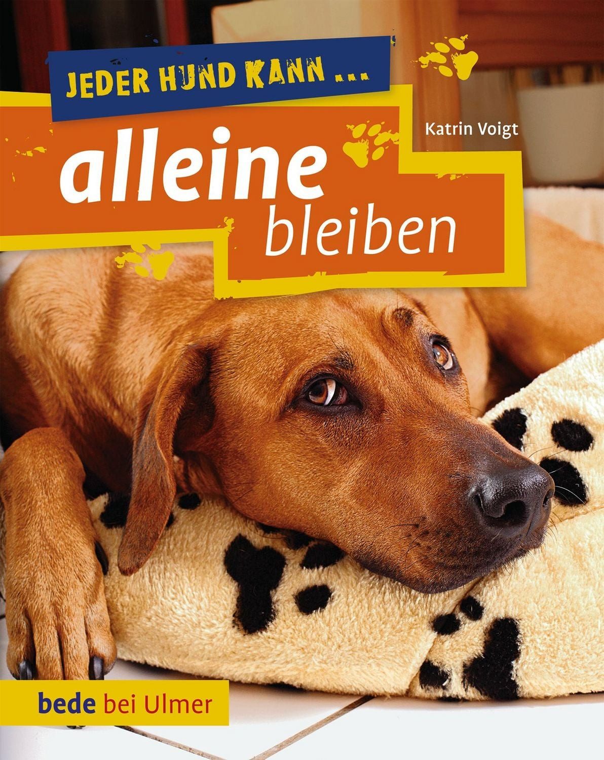 Jeder Hund kann alleine bleiben / Katrin Voigt