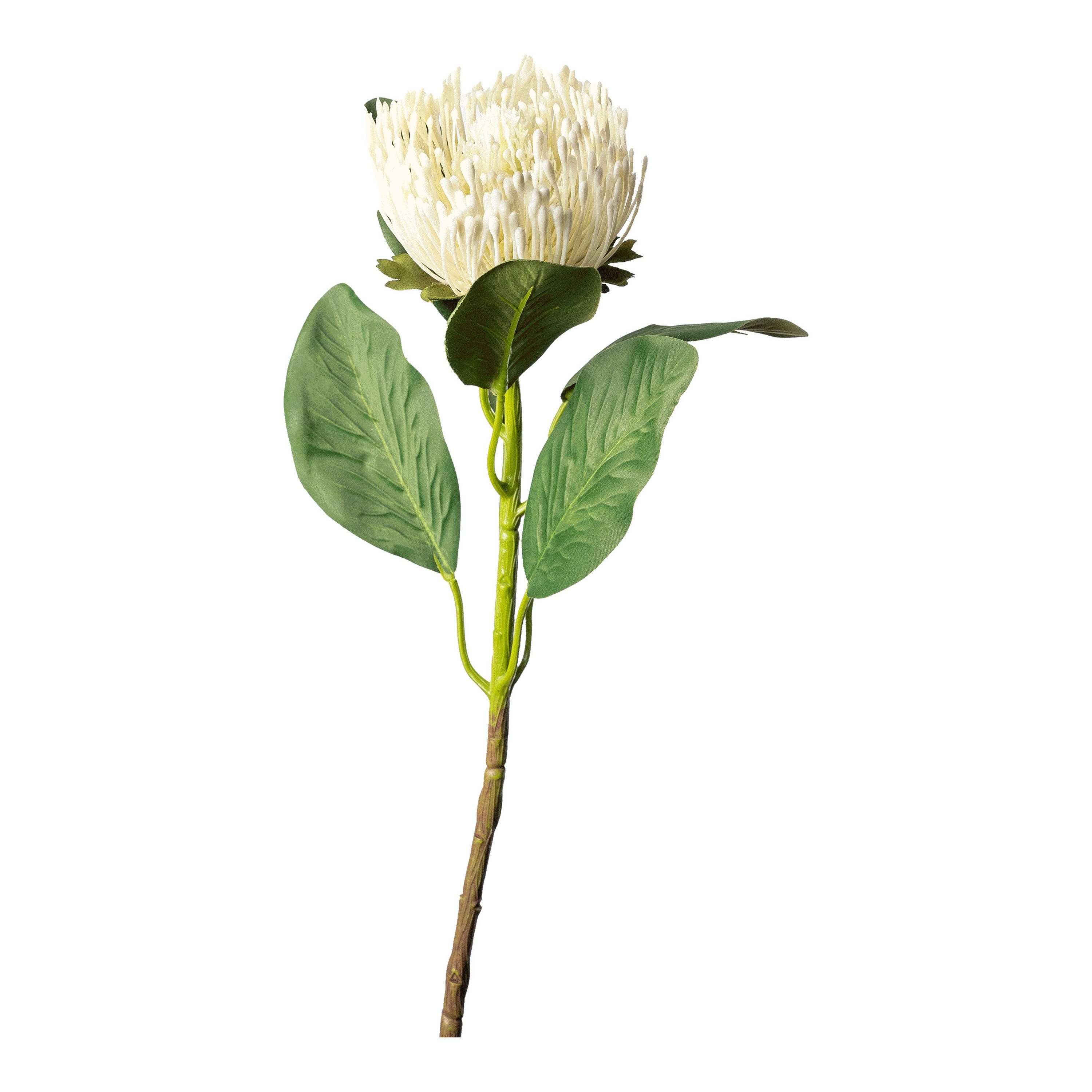 Protea, Depot Kunst-Stielblume Kunstblume