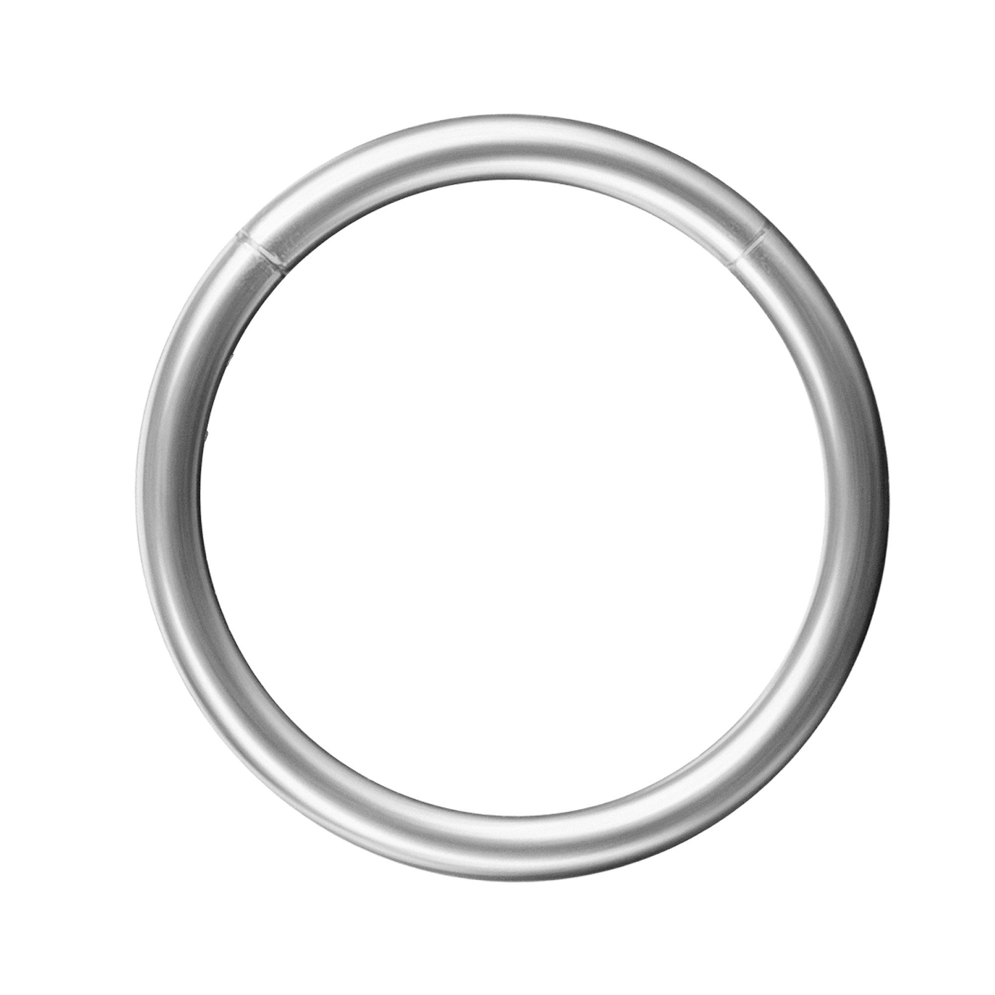 Taffstyle Nasenpiercing Segment Septum Universal Piercing Smooth Ohr Ring S günstig online kaufen
