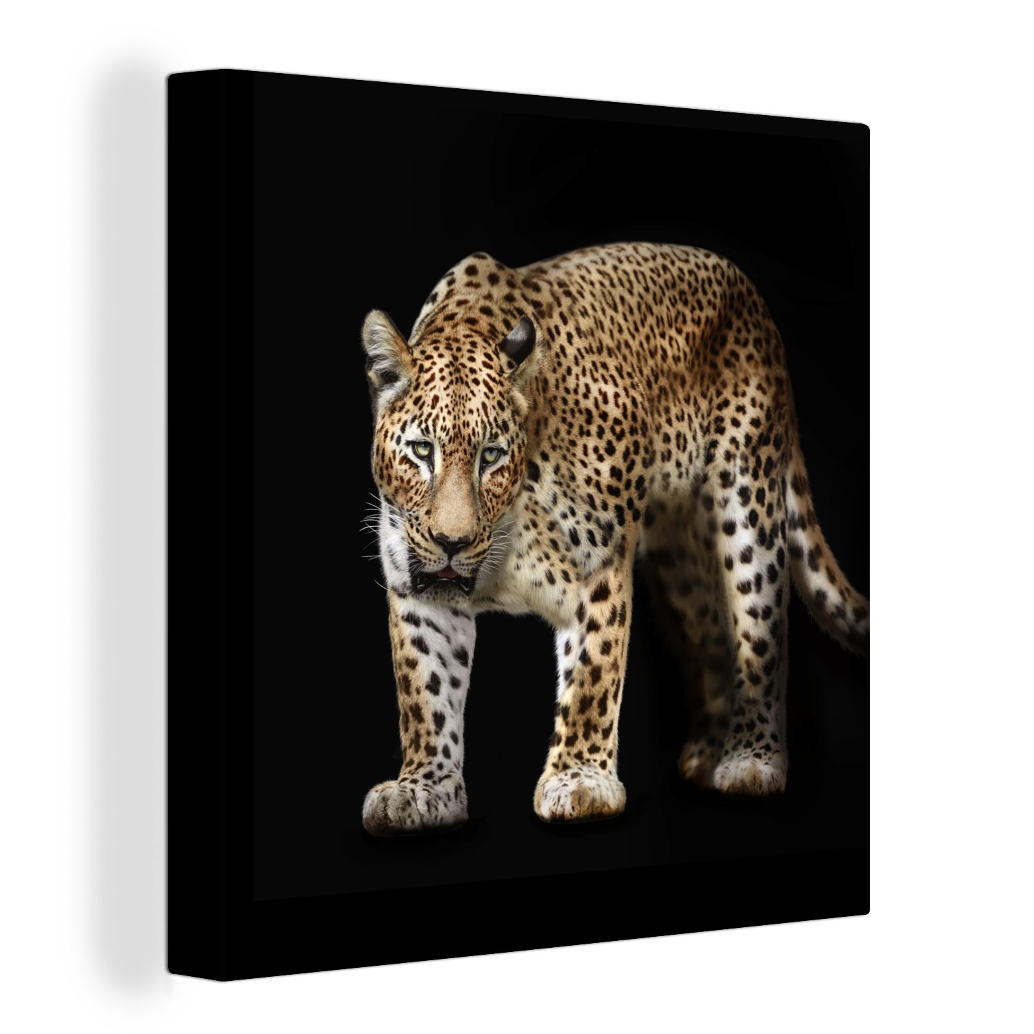 OneMillionCanvasses® Leinwandbild Leopard - Fell - Wild, (1 St), Leinwand Bilder für Wohnzimmer Schlafzimmer