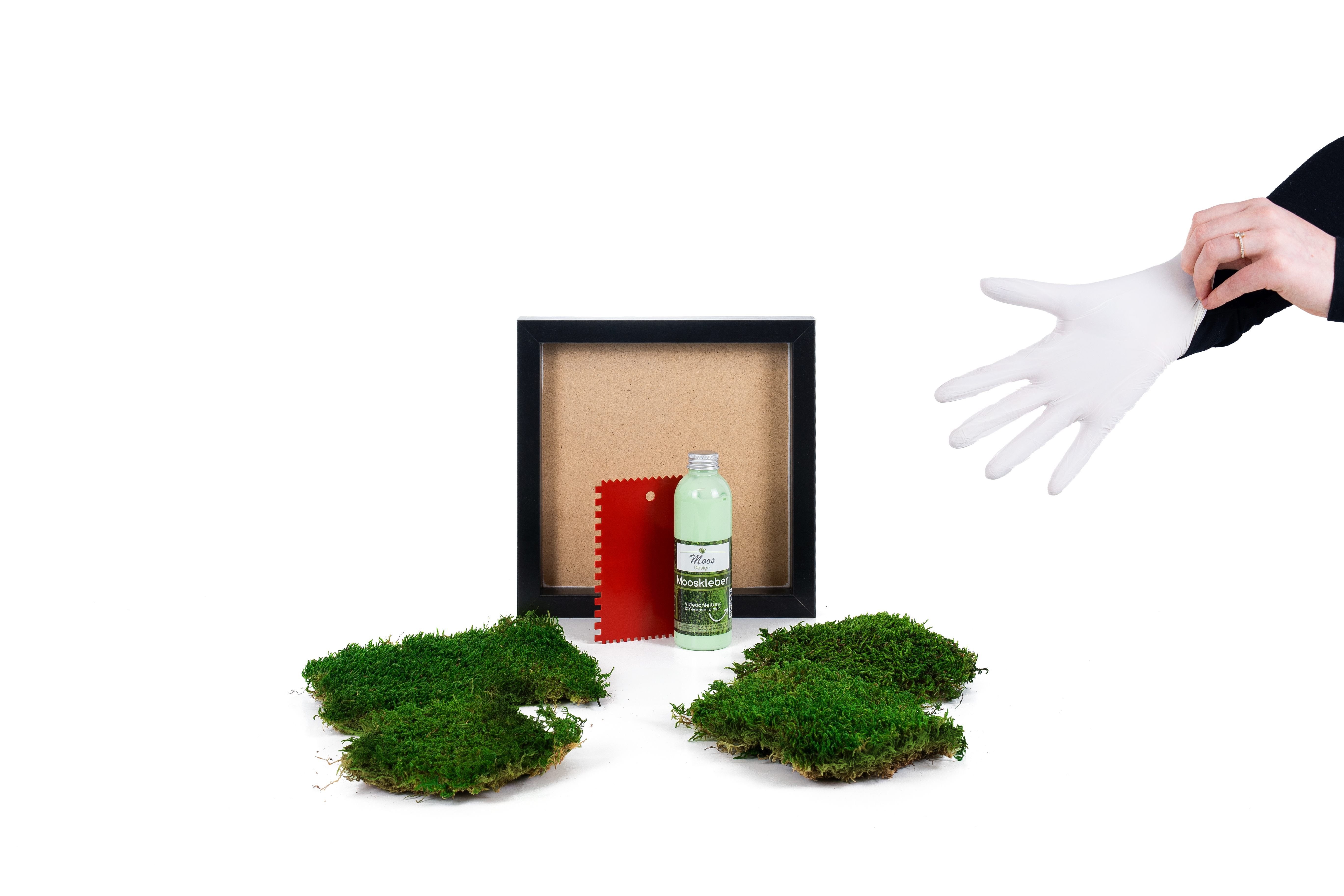 Moos-Design Bild DIY-Moosbilder mit 100 % Flachmoos