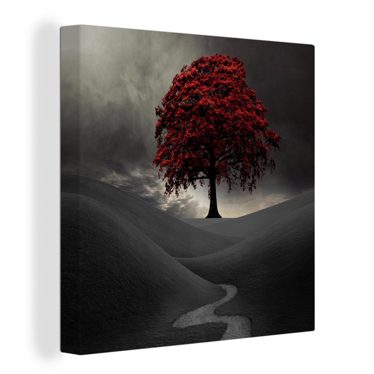 OneMillionCanvasses® Leinwandbild Ein Schwarz-Weiß-Foto mit einem großen roten Baum, (1 St), Leinwand Bilder für Wohnzimmer Schlafzimmer