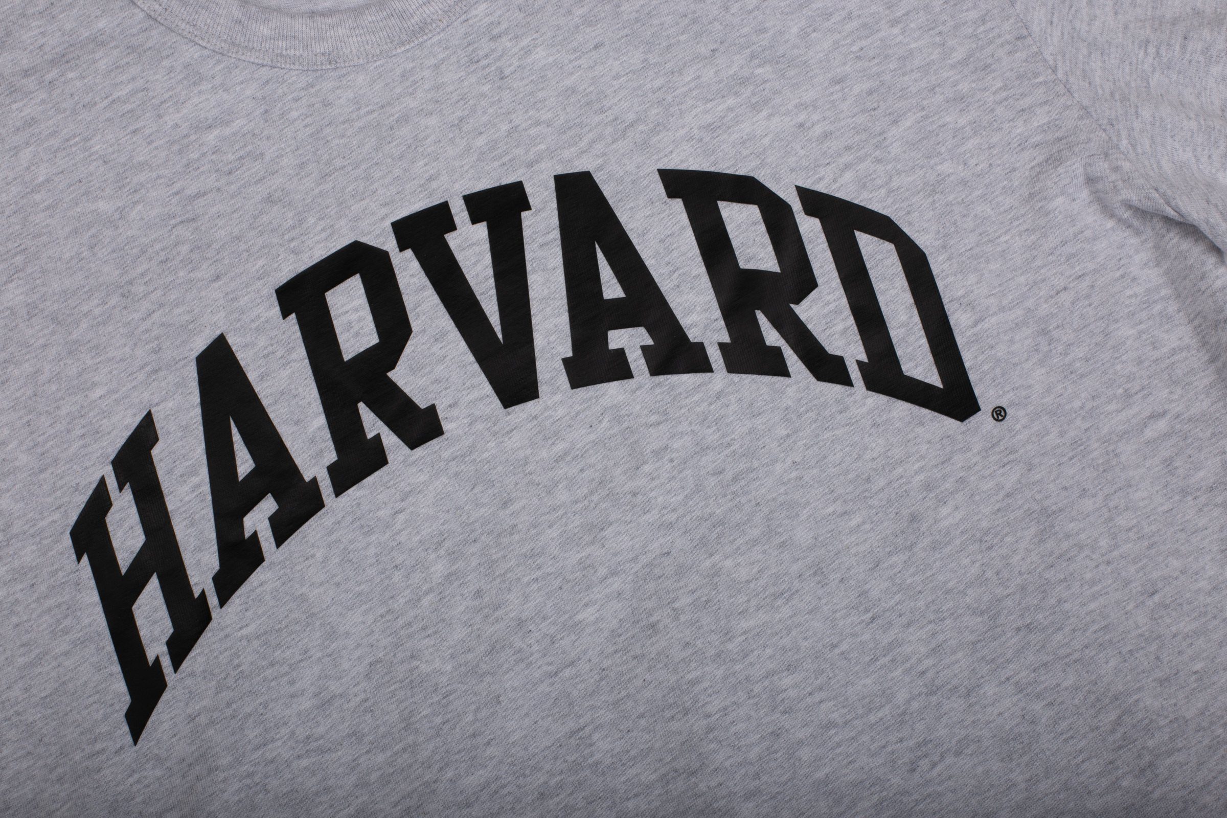 loxgm Adult harvard T-Shirt T-Shirt (grau) Crewneck Herren Champion 218032 Champion