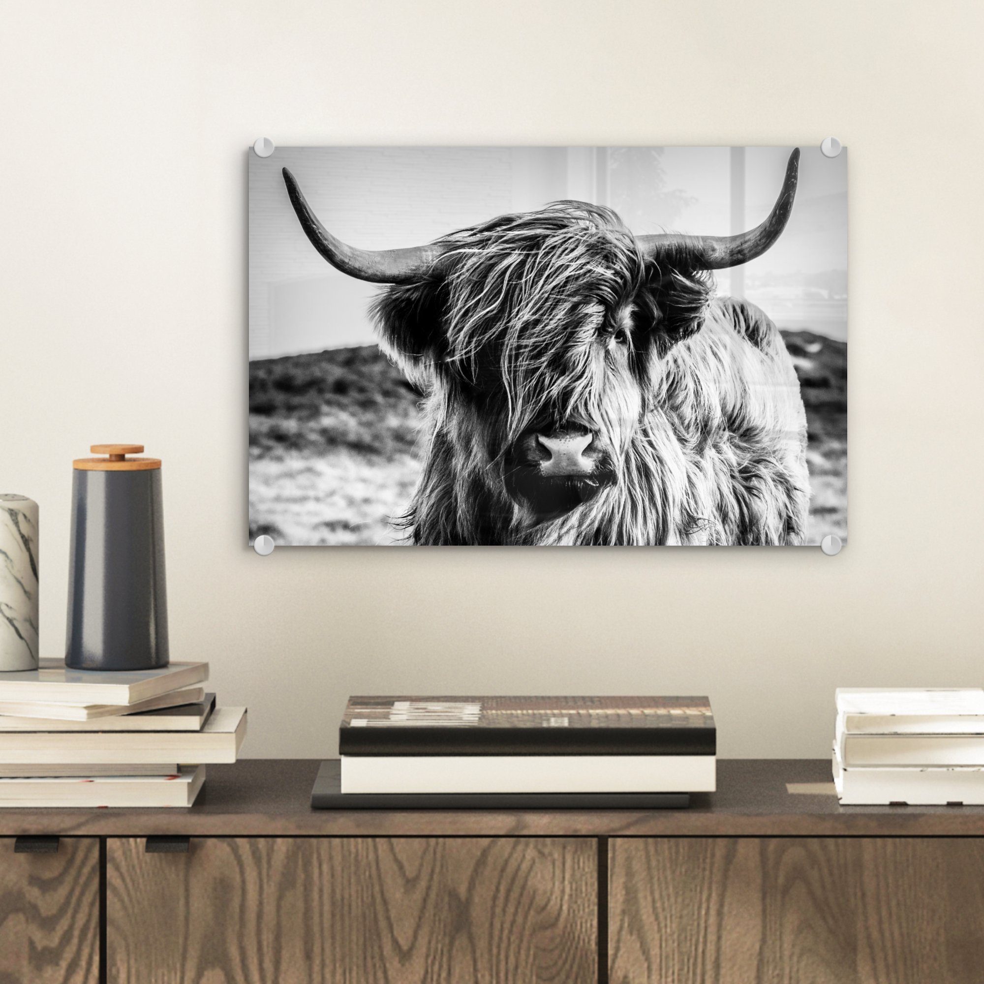 MuchoWow Acrylglasbild Schottischer Highlander - Natur günstig online kaufen