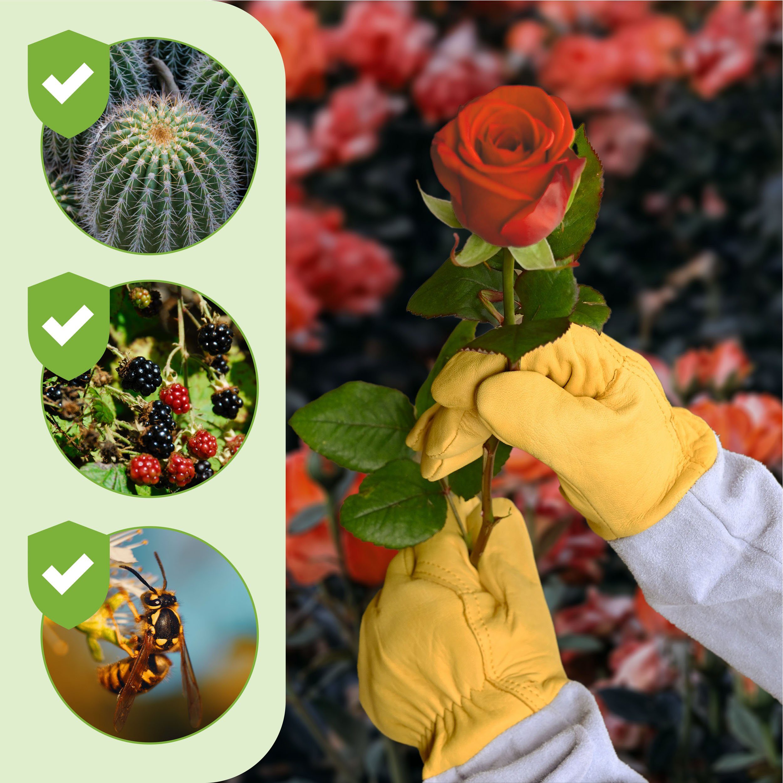 Praknu Gartenhandschuhe Praknu Verstellbare - Dornenfest 388 Manschetten EN L Zertifiziert Rosenhandschuhe - (Packung) Leder