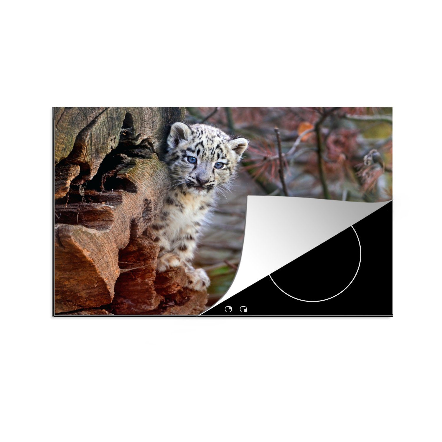 MuchoWow Herdblende-/Abdeckplatte Schneeleopard - Klein 81x52 küche, tlg), - Schutz cm, Vinyl, Baum, Ceranfeldabdeckung für (1 die Induktionskochfeld