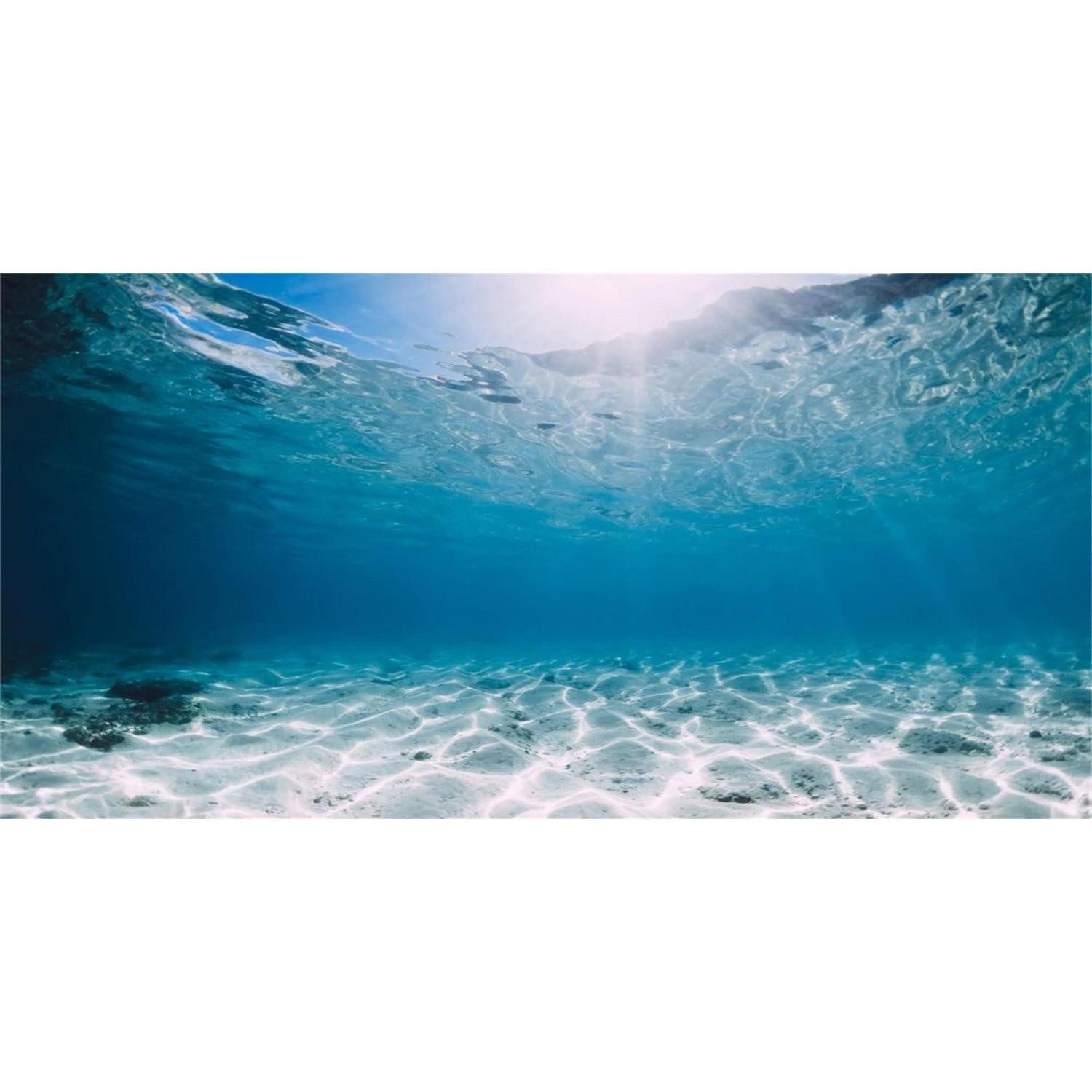 LuxusKollektion Aquarium Aquarium Hintergrund 61x41cm Tropischer Ozean Vinyl