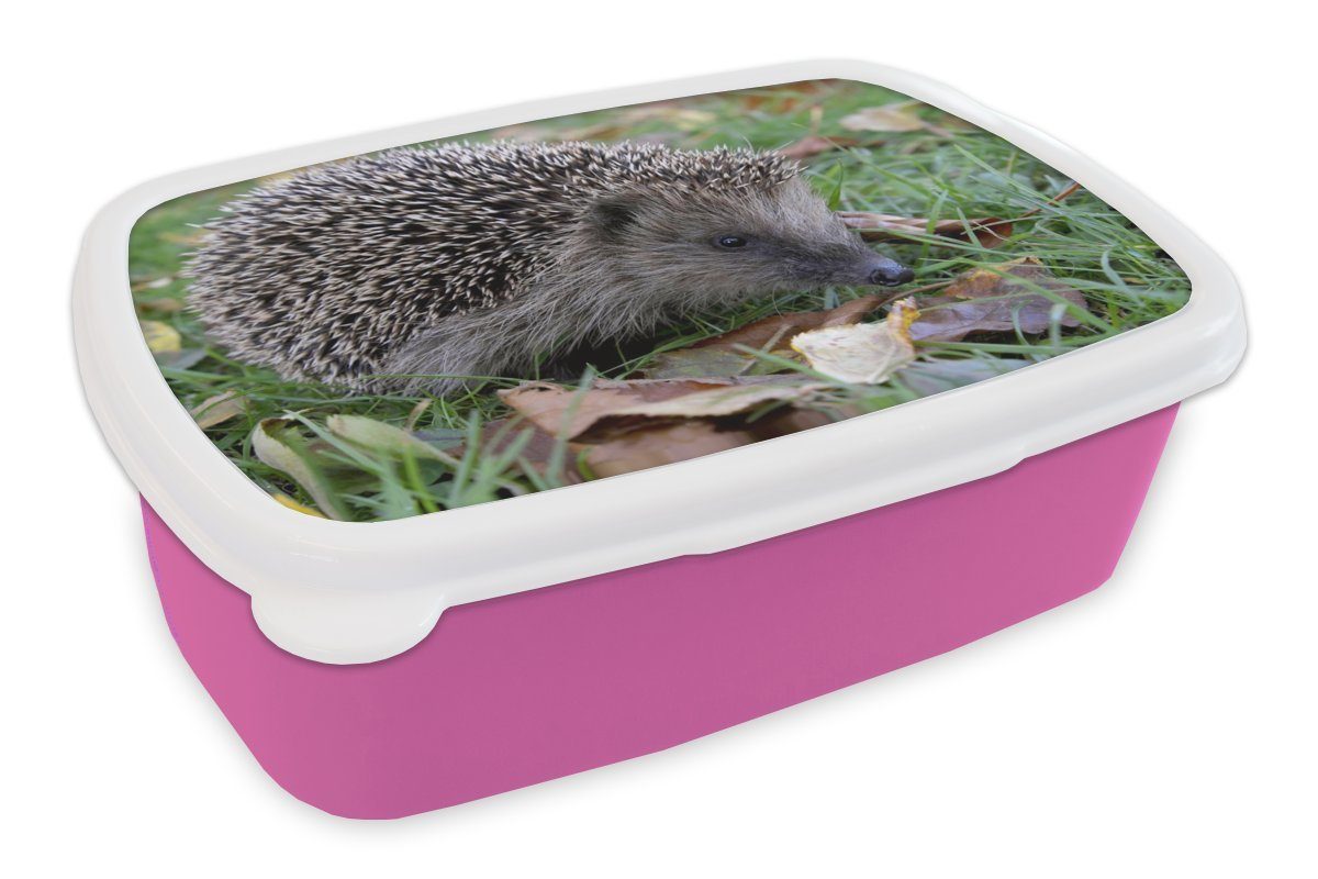 rosa Igel Lunchbox im Erwachsene, für Snackbox, Brotdose Kinder, Kunststoff MuchoWow Kunststoff, Mädchen, Gras, Brotbox (2-tlg),