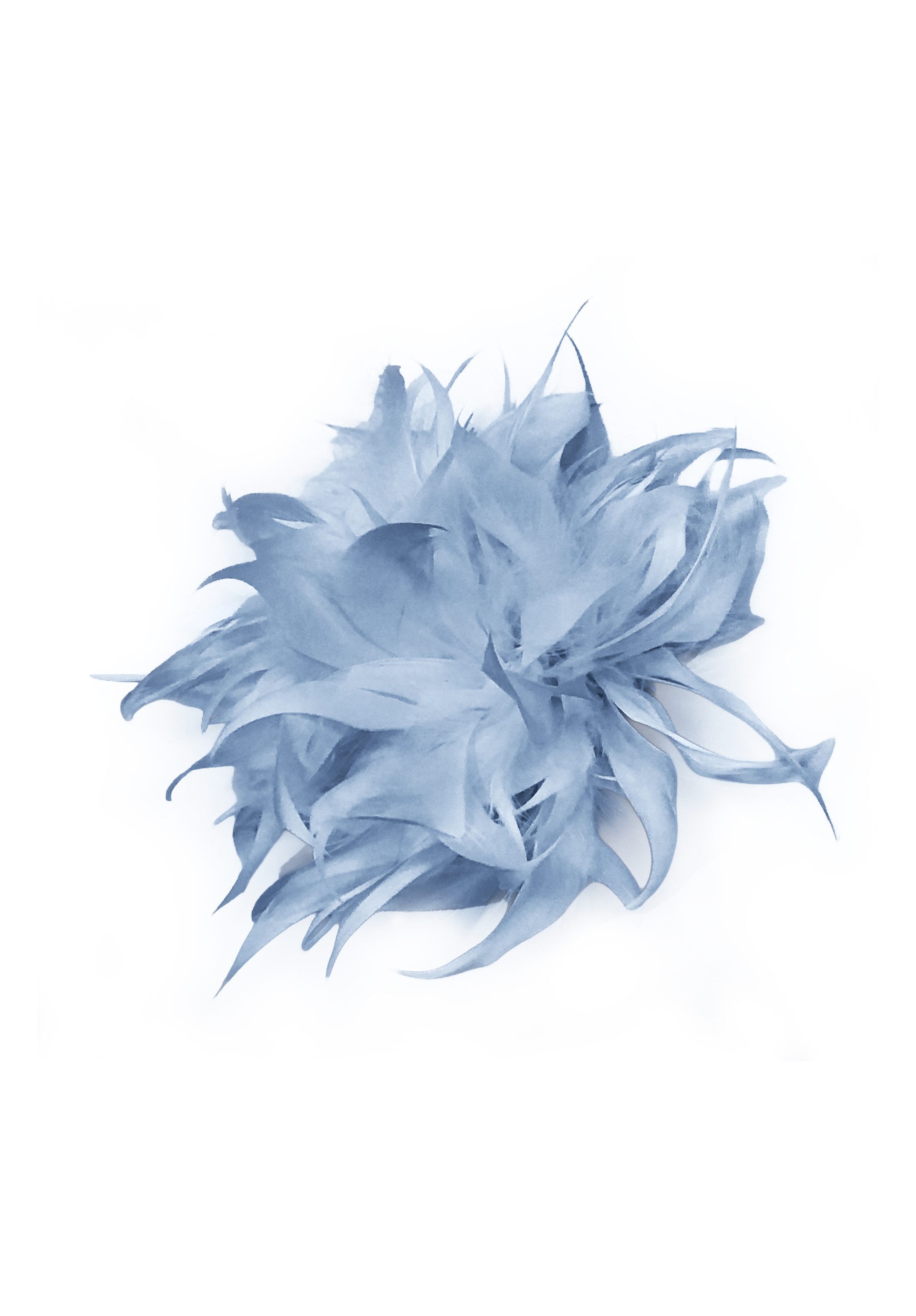 bianca Brosche BROSCHE, mit Federn in Trendfarbe