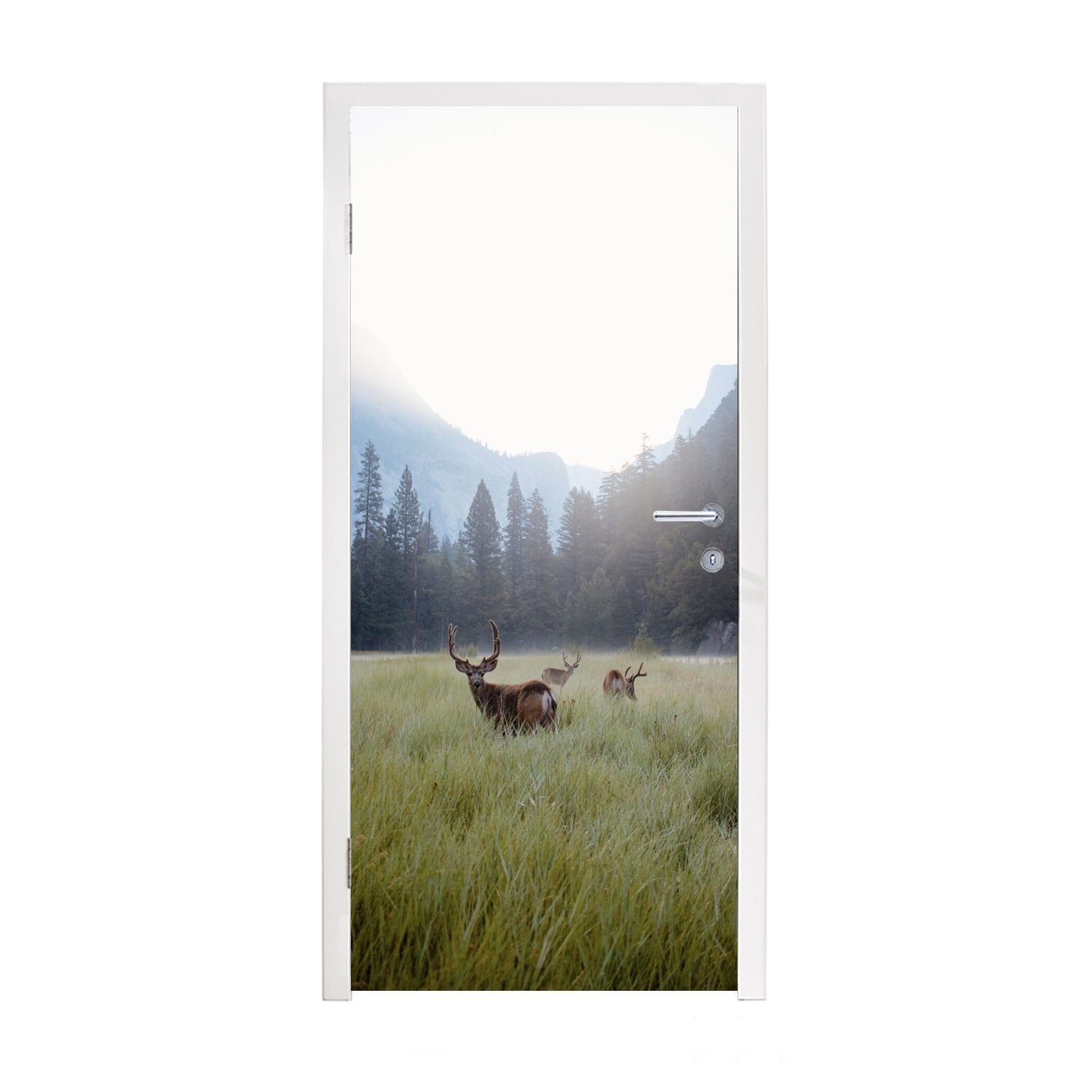 MuchoWow Türtapete Wald - Hirsche - Nebel, Matt, bedruckt, (1 St), Fototapete für Tür, Türaufkleber, 75x205 cm
