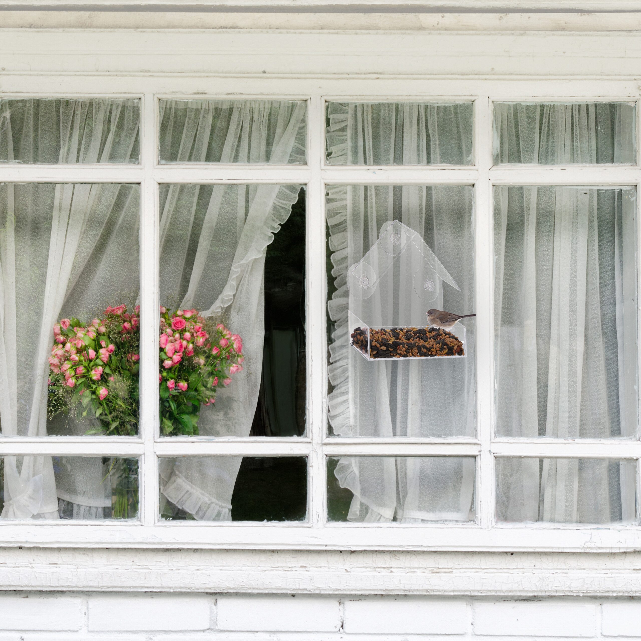 relaxdays Vogelhaus Fenster-Vogelfutterhaus günstig online kaufen