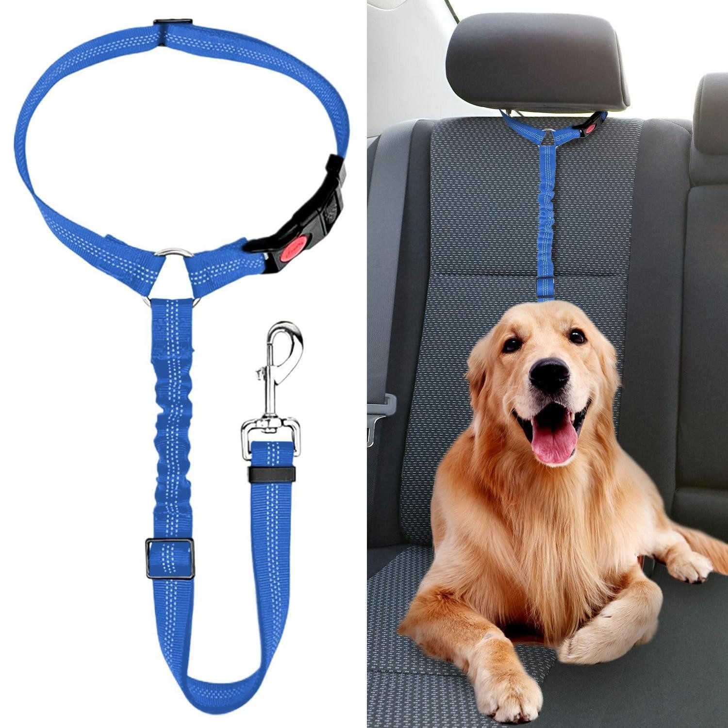 LuxusKollektion Autohundegeschirr Anschnallgurt Hund Auto Klein Blau Verstellbar, Textil