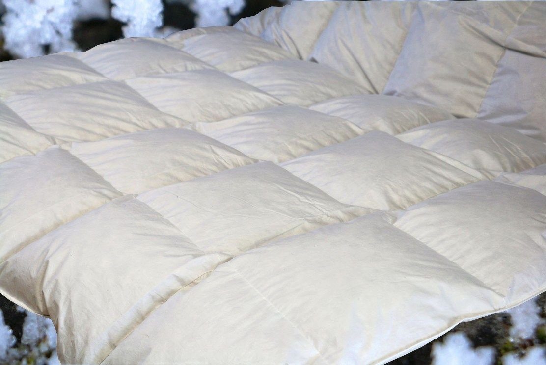 4-Jahreszeitenbett Betten Hofmann Ganzjahresdecke Daunenbett 6x7 200x220, Daunendecke