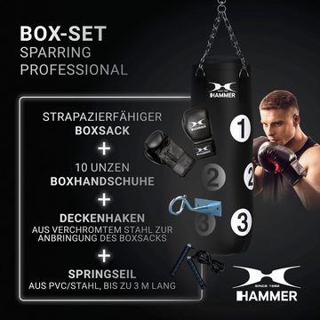 Hammer Boxsack Sparring Professional (Set, mit Boxhandschuhen, mit Haken, mit Sprungseil, mit Trainings-DVD)