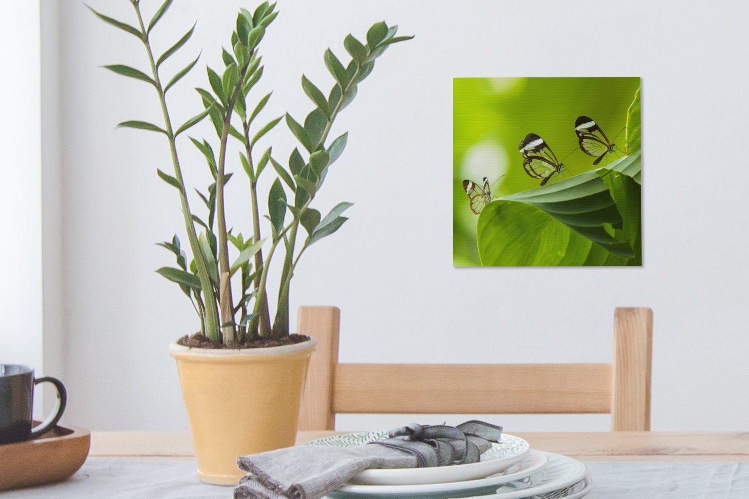 OneMillionCanvasses® Leinwandbild Transparenter Schmetterling Blatt Costa Wohnzimmer (1 St), Rica, Bilder Schlafzimmer in auf einem Leinwand für