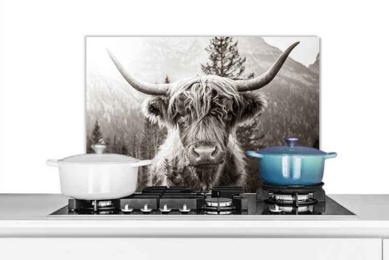 MuchoWow Küchenrückwand Schottischer Highlander - Kuh - Tiere - Schwarz - Weiß, (1-tlg), 60x40 cm, Herdblende aus Wandschutz, Temperaturbeständig küchen