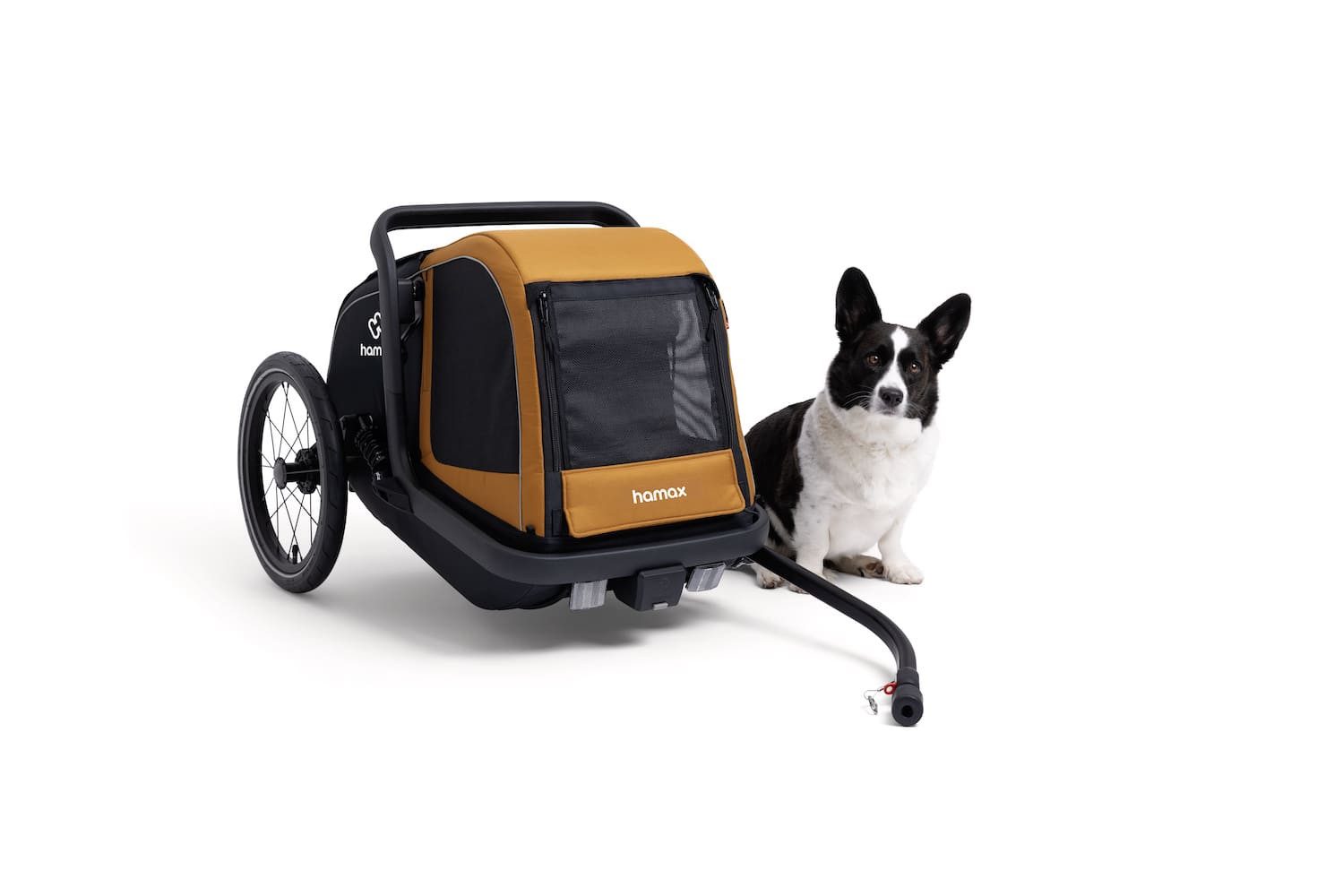 Hamax Fahrradhundeanhänger Milou S Hundeanhänger (für Hunde bis 20 kg)
