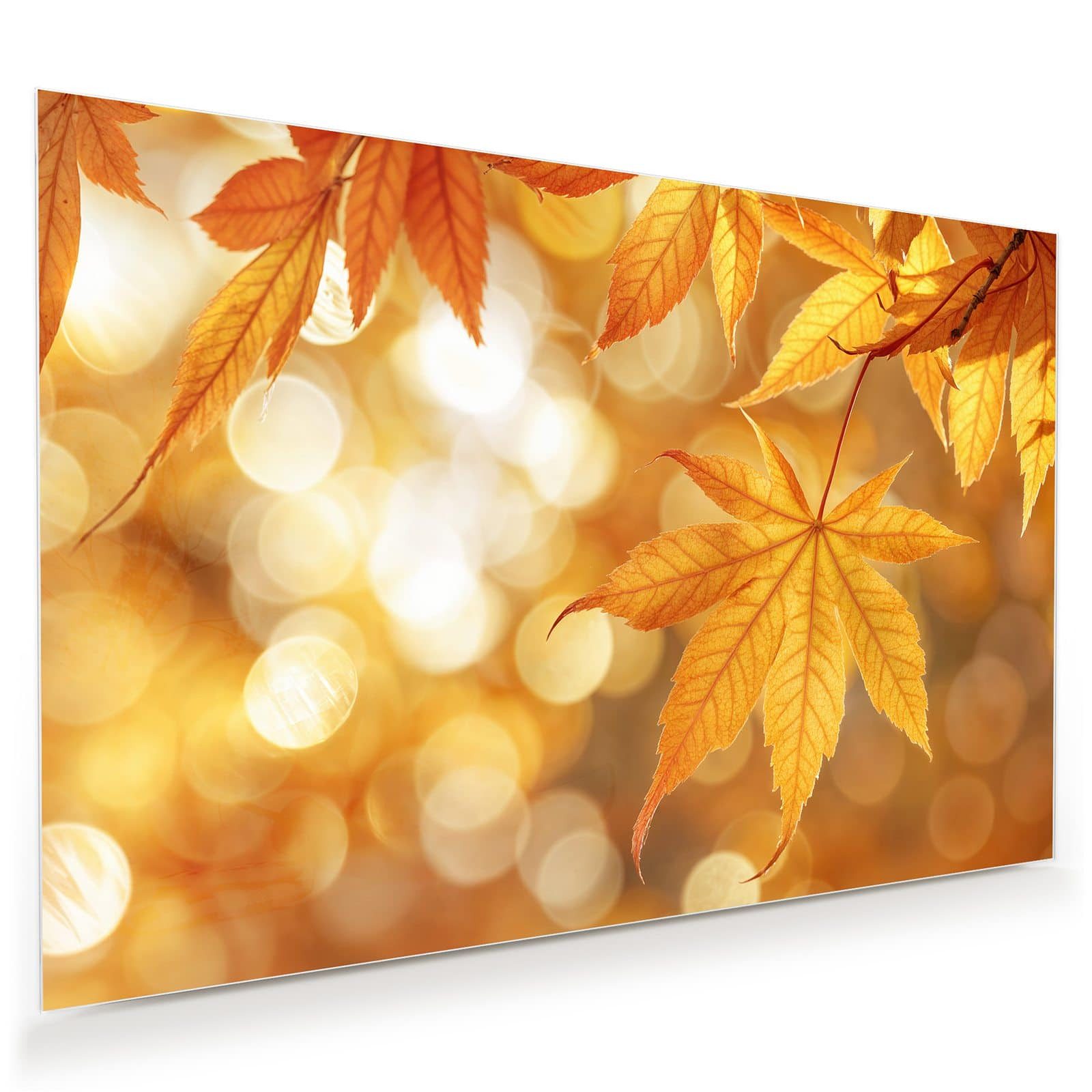Primedeco Glasbild Wandbild Herbstlich Glitzernd mit Aufhängung, Jahreszeiten (21 verschiedene Größen, 1 St), Elegante Aufhängung