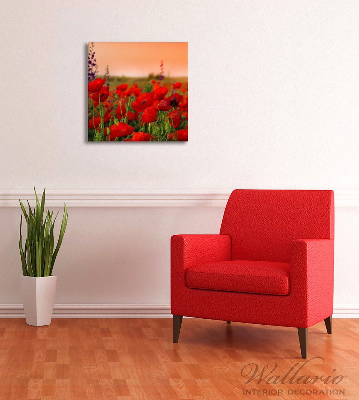 Wallario Leinwandbild, Mohnblumen auf dem Feld, günstig online kaufen